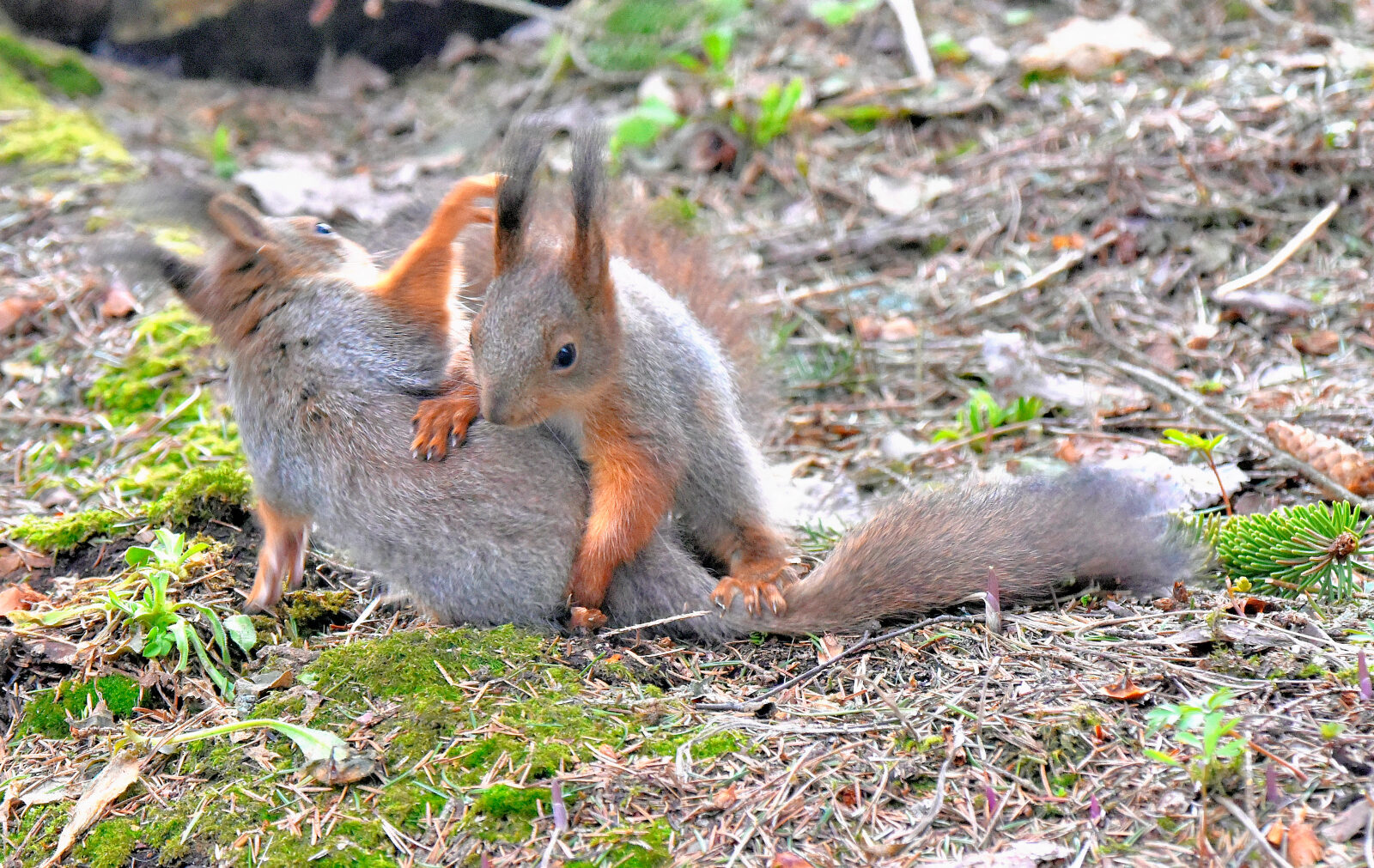 Valokuvaaja: Reijo Juurinen