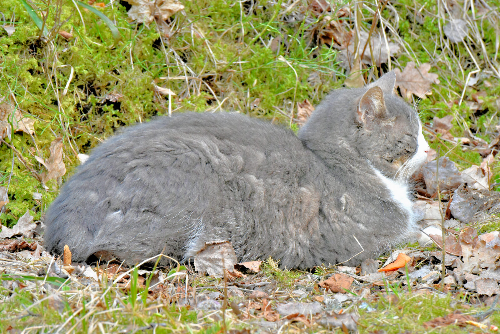 Valokuvaaja: Reijo Juurinen