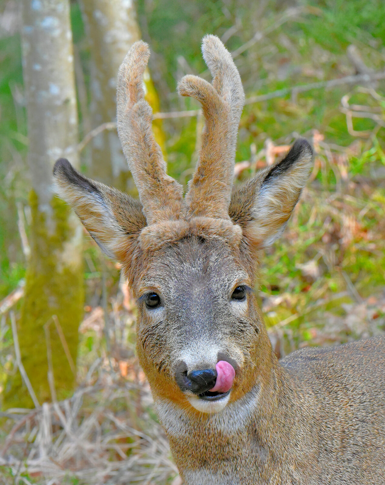 Valokuvaaja: Reijo Juurinen
