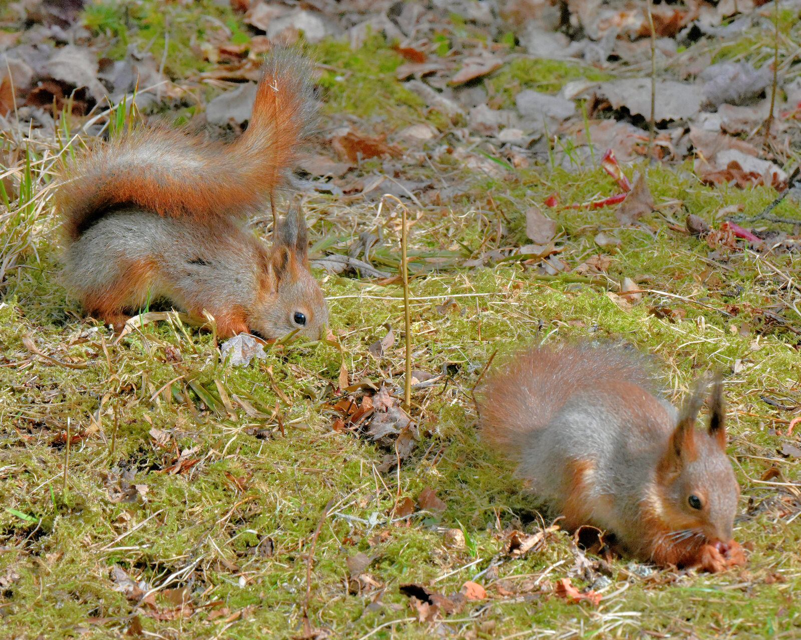 Valokuvaaja: Reijo Juurinen