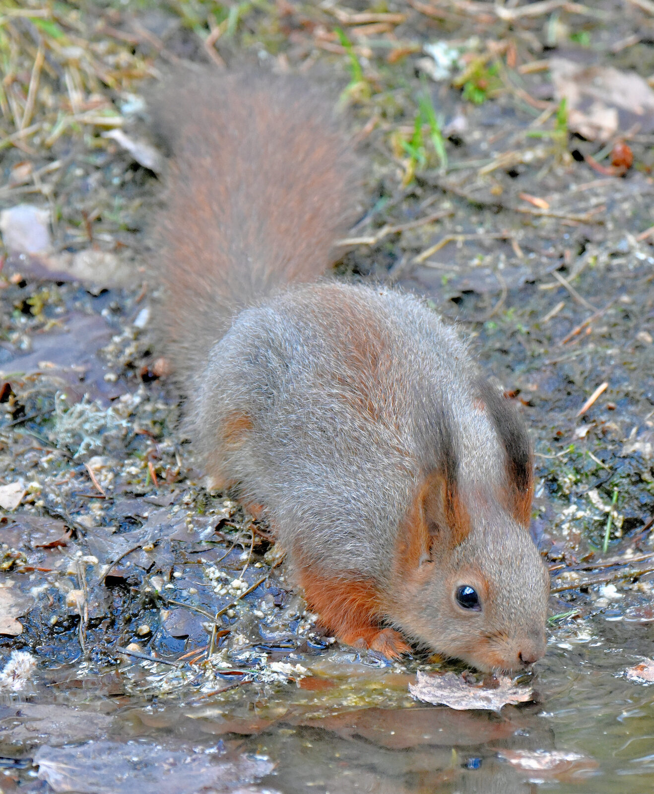 Valokuvaaja: Reijo Juurinen