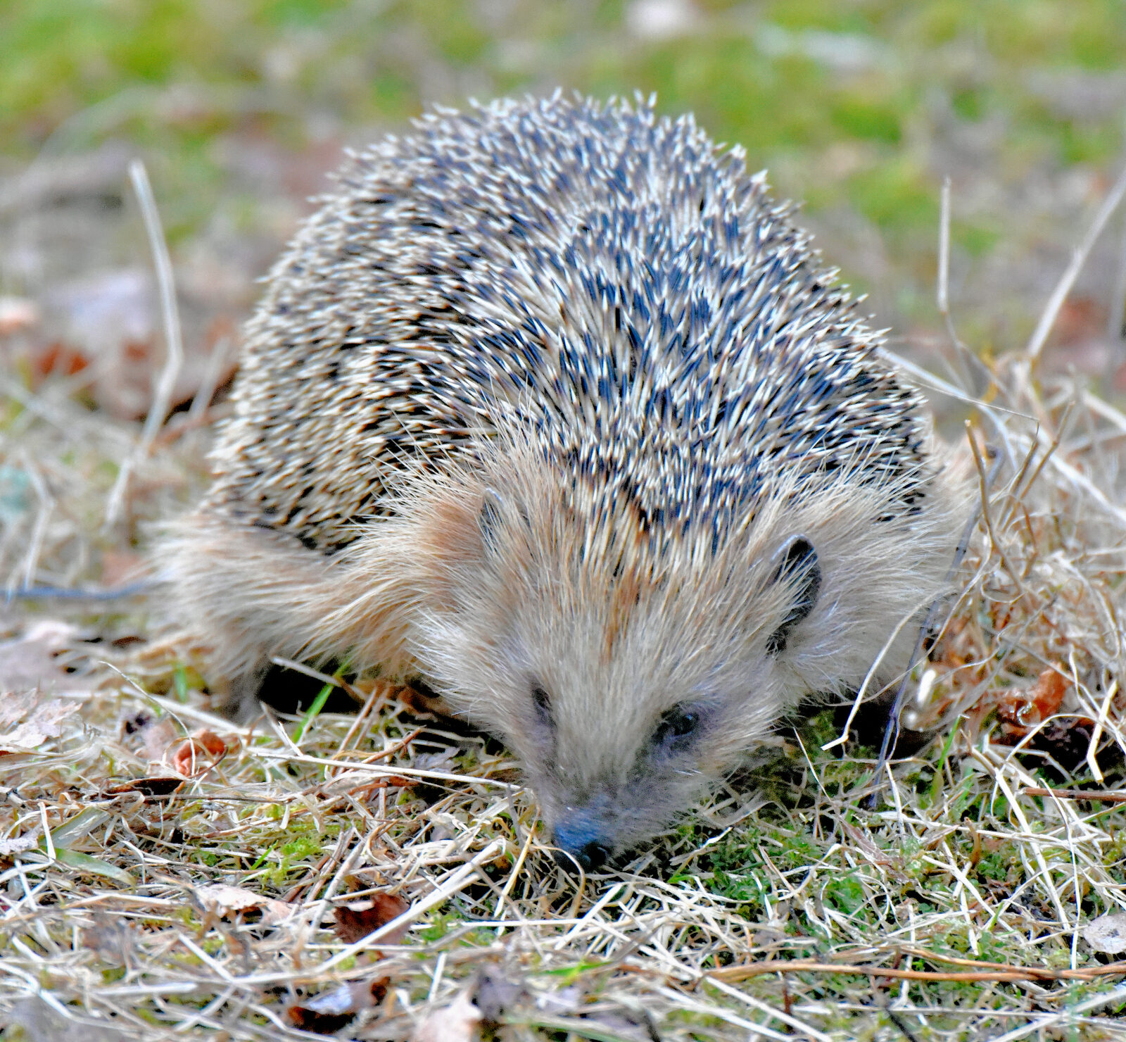 Valokuvaaja: Reijo Juurinen