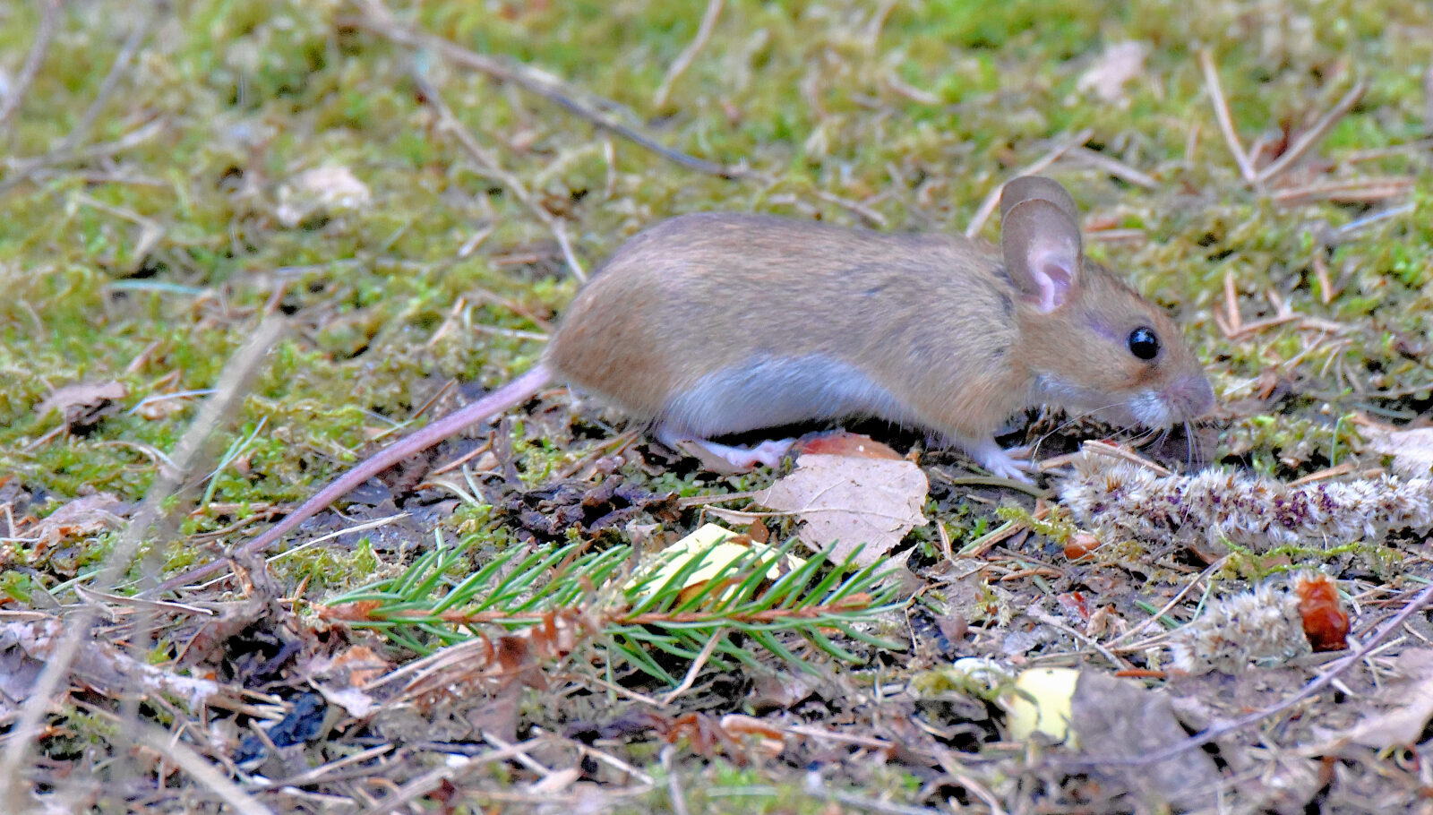 Valokuvaaja: Reijo Juurinen