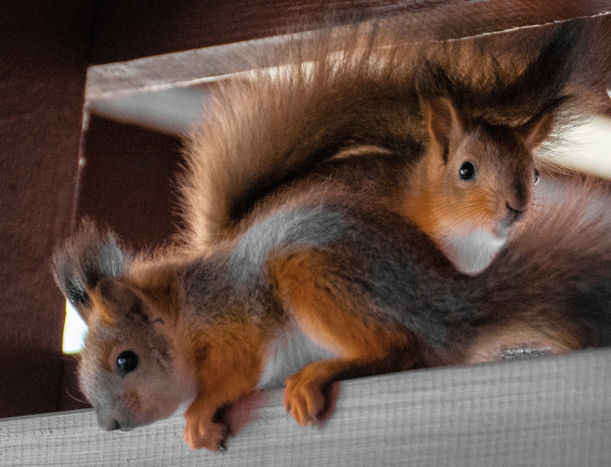 Valokuvaaja: Tuula Komsi