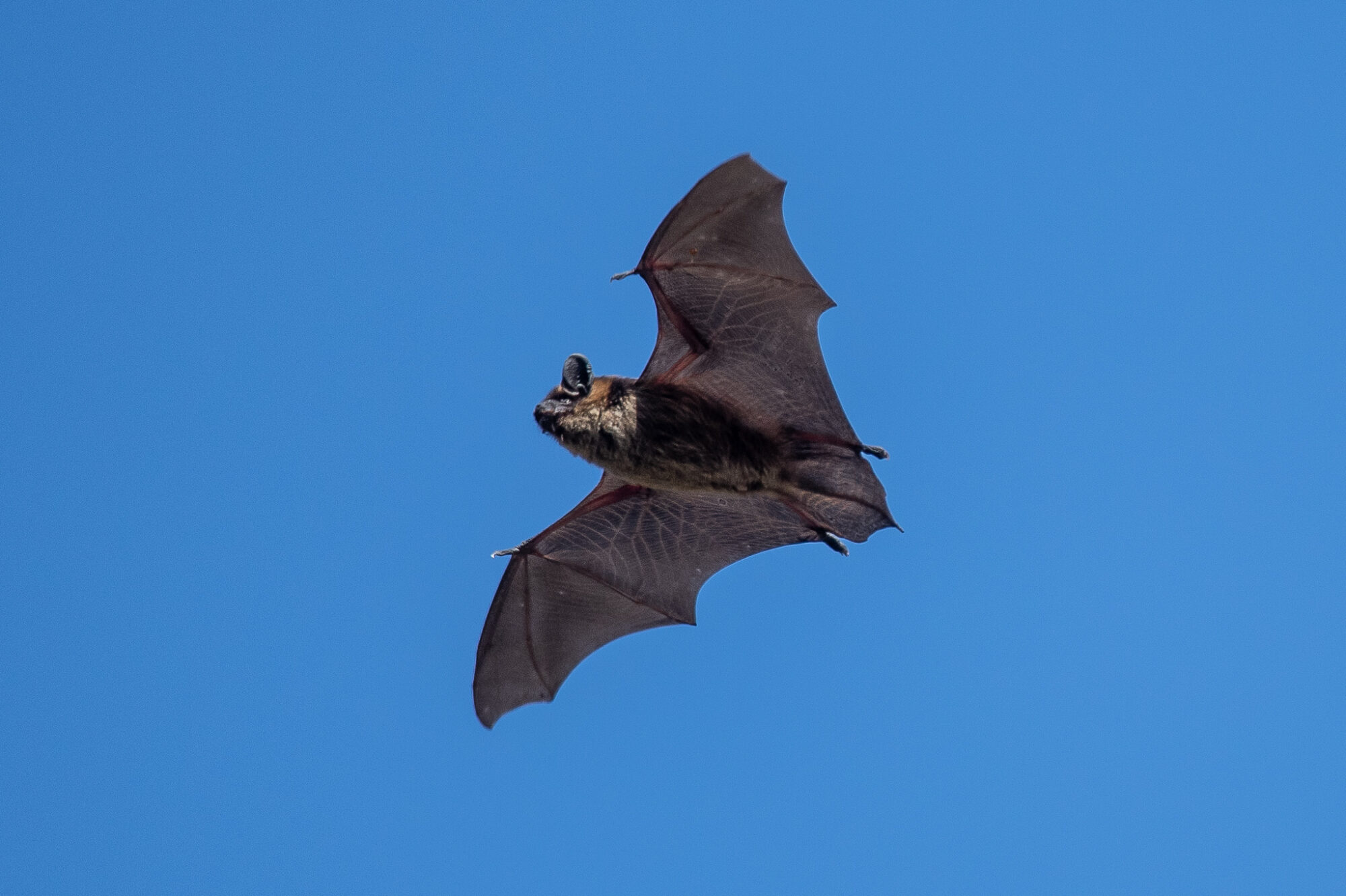 Valokuvaaja: Jyrki Lähde