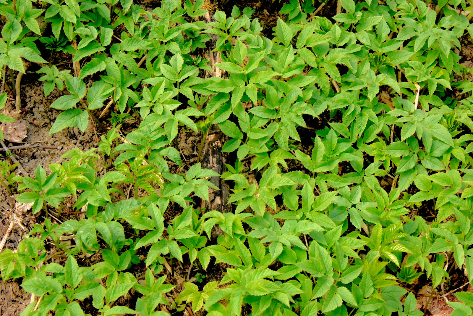 Valokuvaaja: Reijo Juurinen
