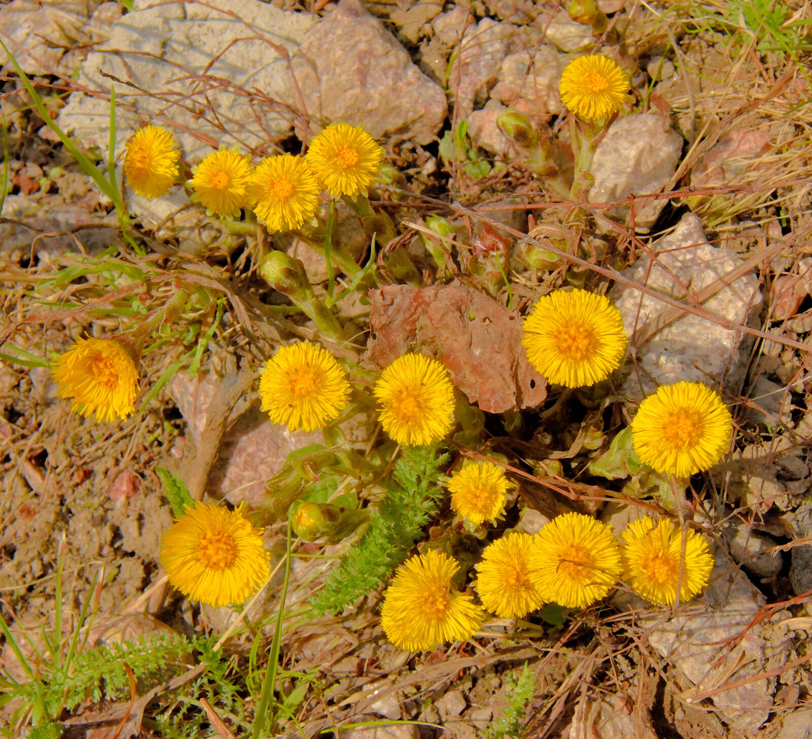 Valokuvaaja: Reijo Juurinen Valokuvaaja: Reijo Juurinen