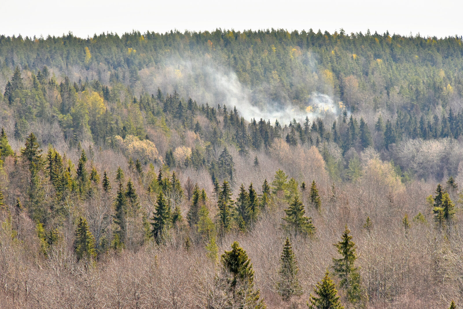 Valokuvaaja: Reijo Juurinen
