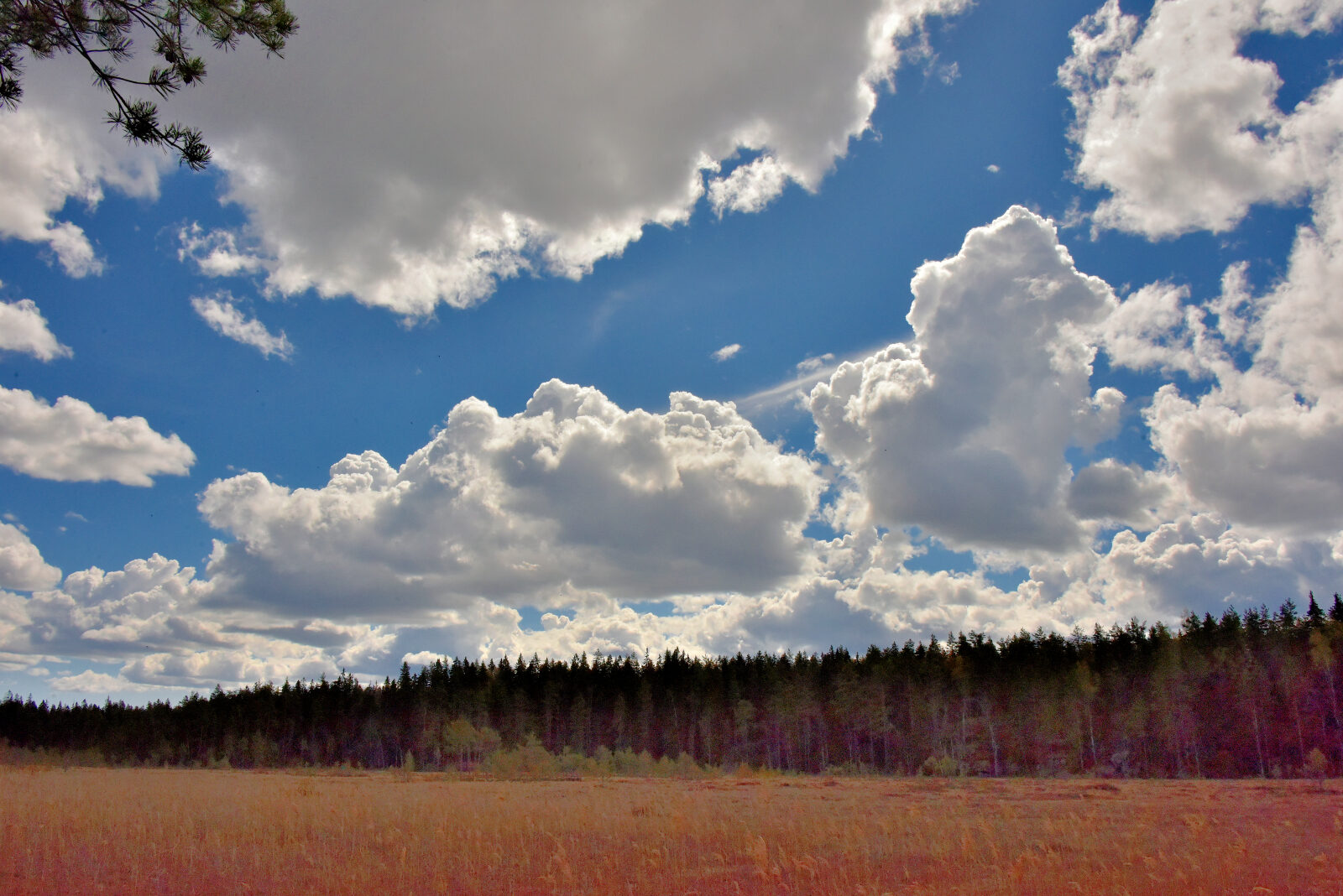 Valokuvaaja: Reijo Juurinen