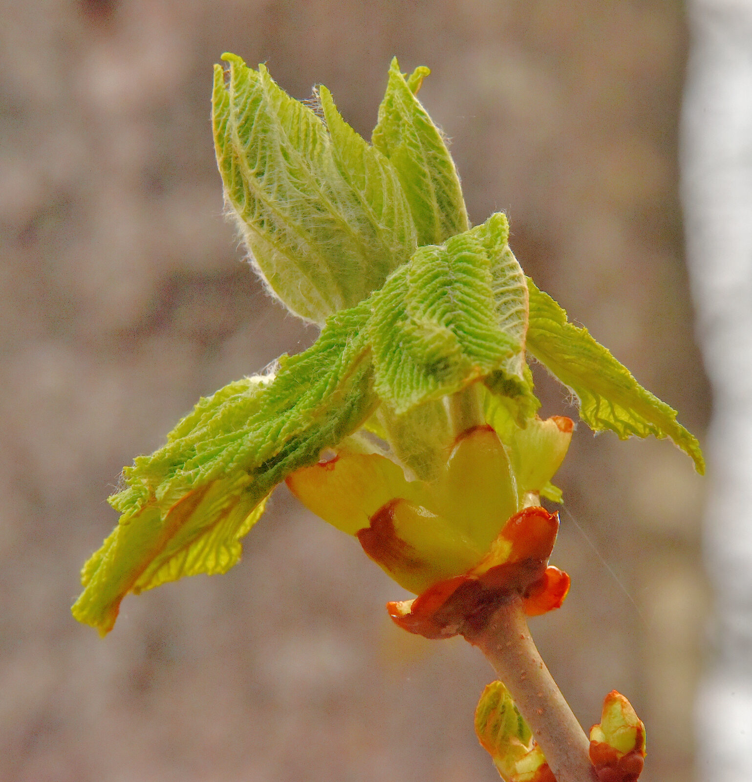 Valokuvaaja: Reijo Juurinen
