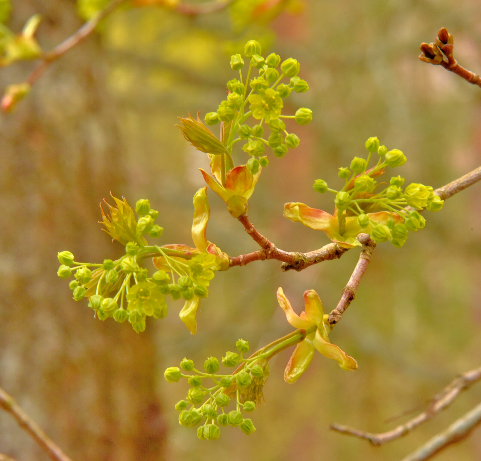 Valokuvaaja: Reijo Juurinen Valokuvaaja: Reijo Juurinen