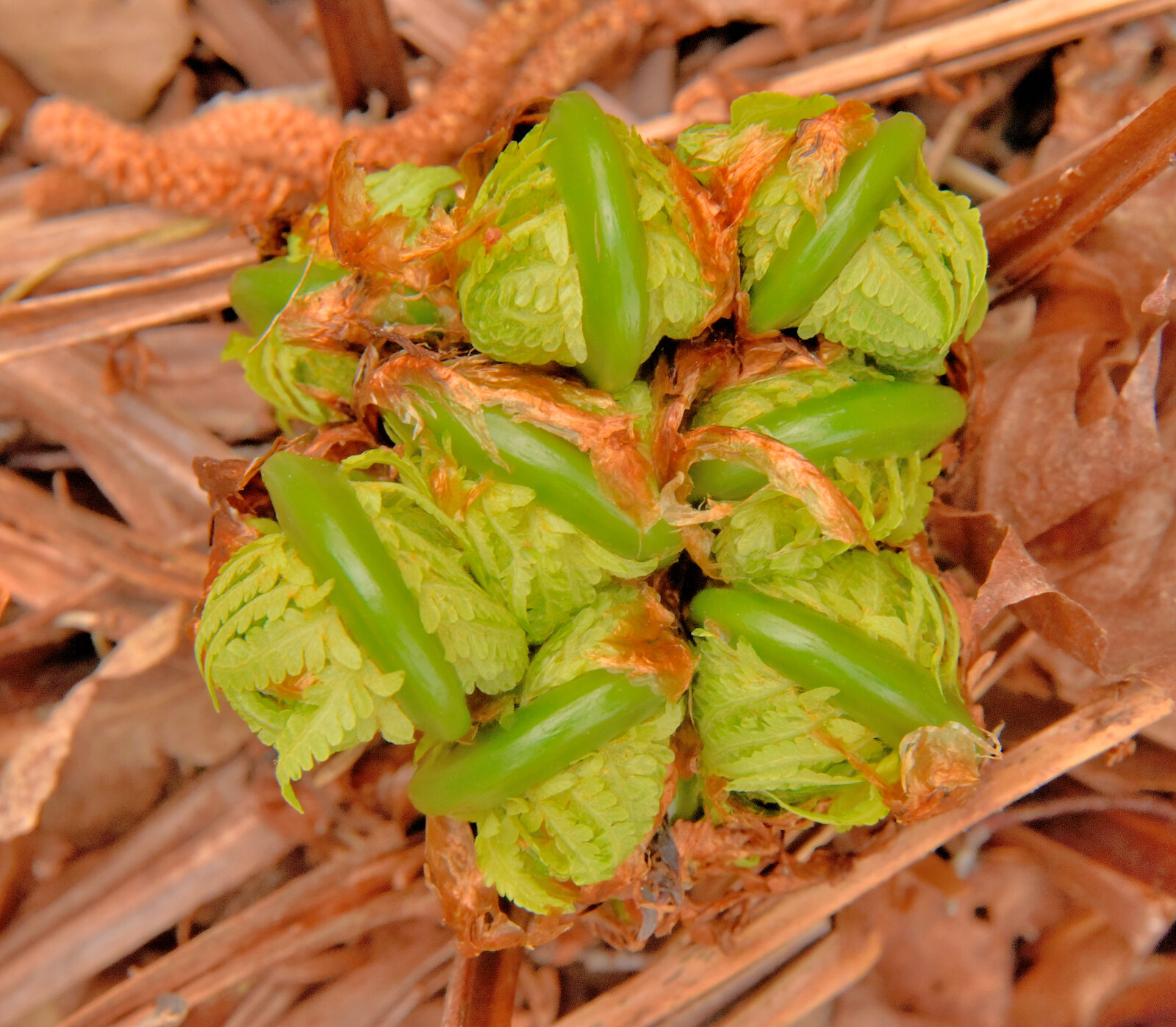Valokuvaaja: Reijo Juurinen