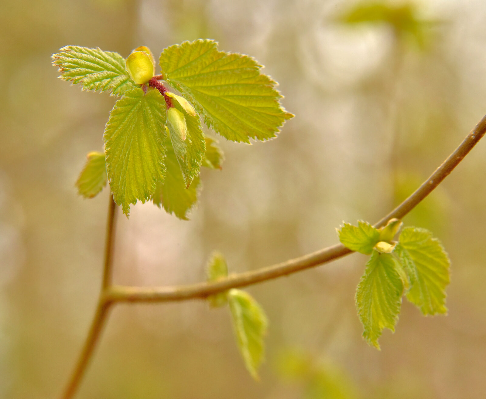 Valokuvaaja: Reijo Juurinen Valokuvaaja: Reijo Juurinen