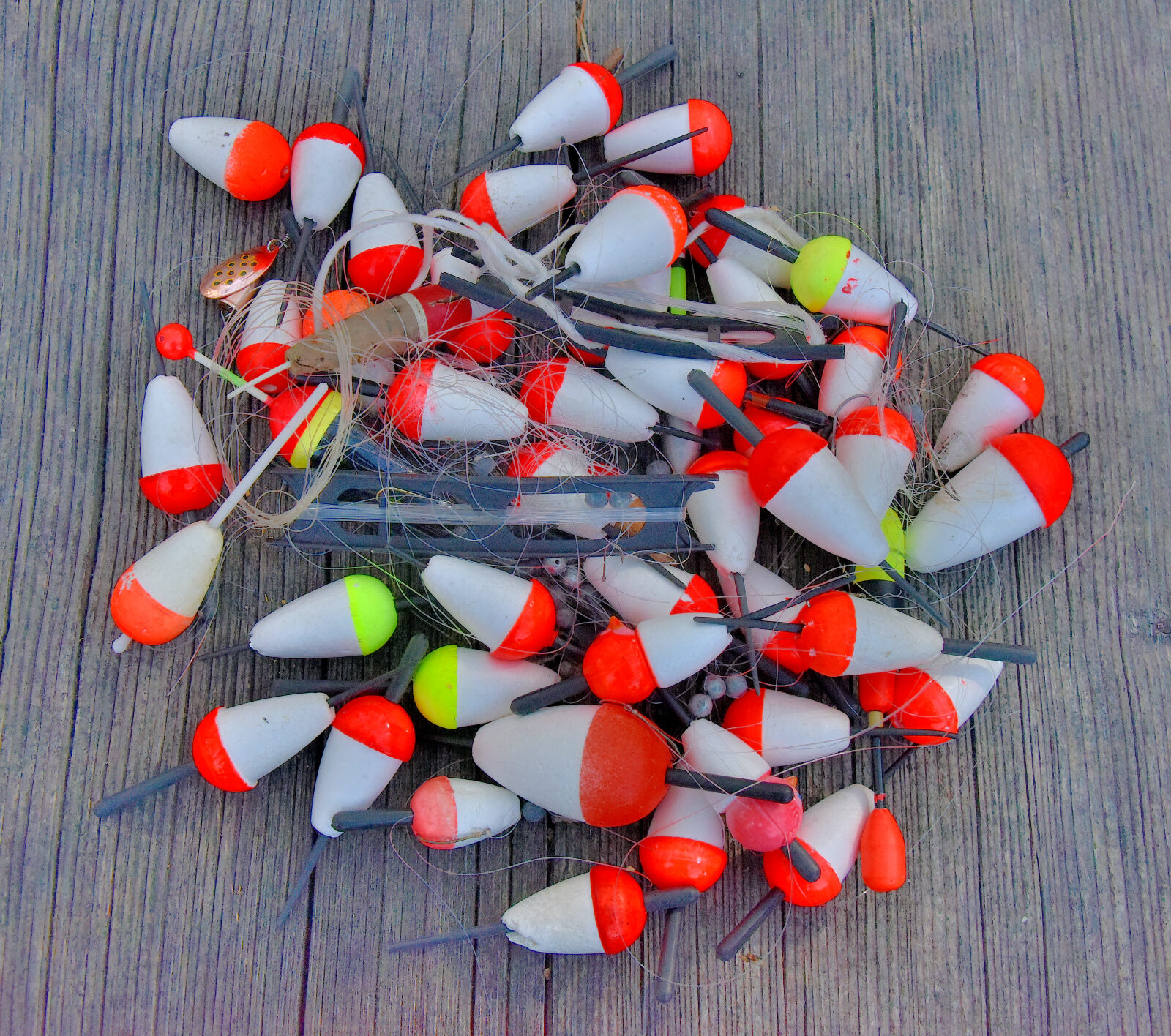 Valokuvaaja: Reijo Juurinen