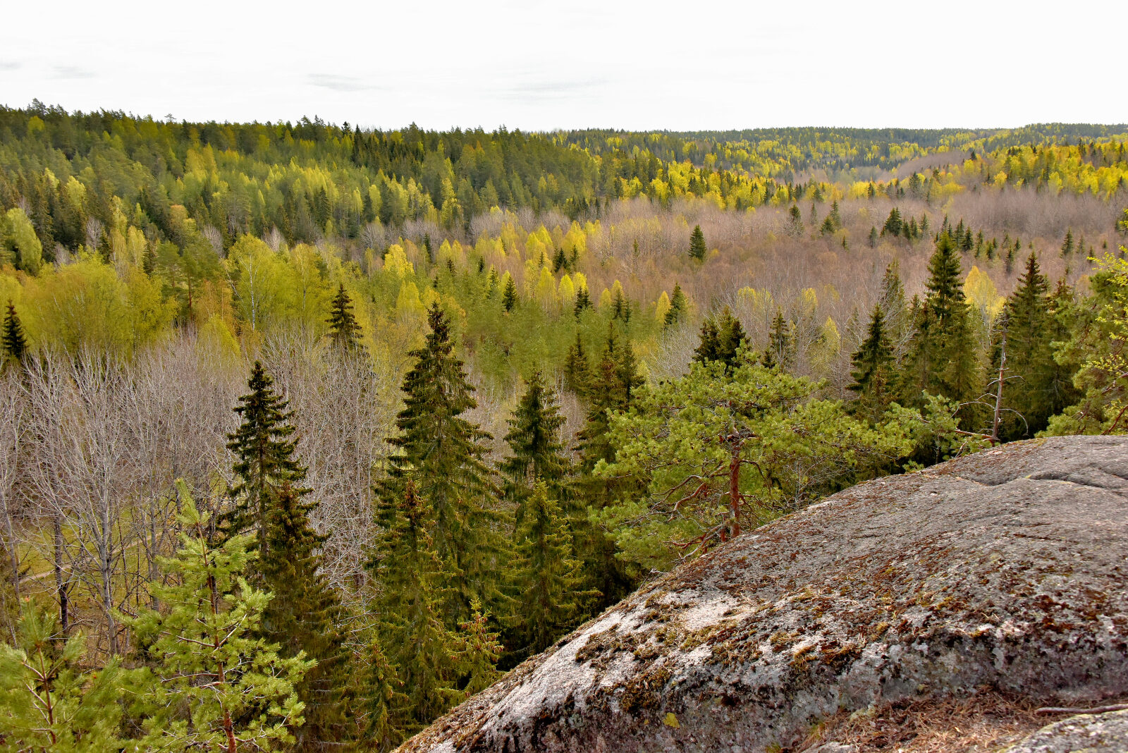 Valokuvaaja: Reijo Juurinen