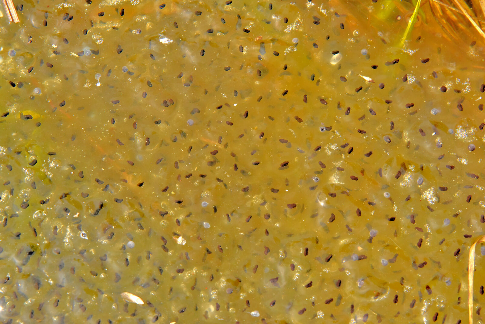 Valokuvaaja: Reijo Juurinen