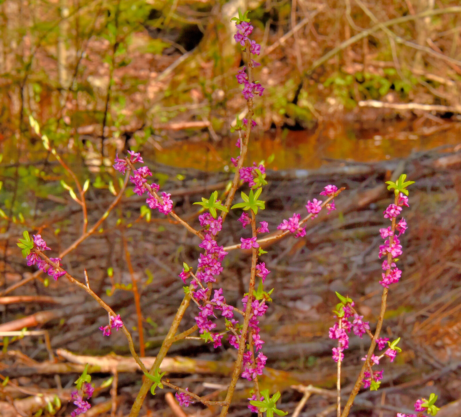Valokuvaaja: Reijo Juurinen