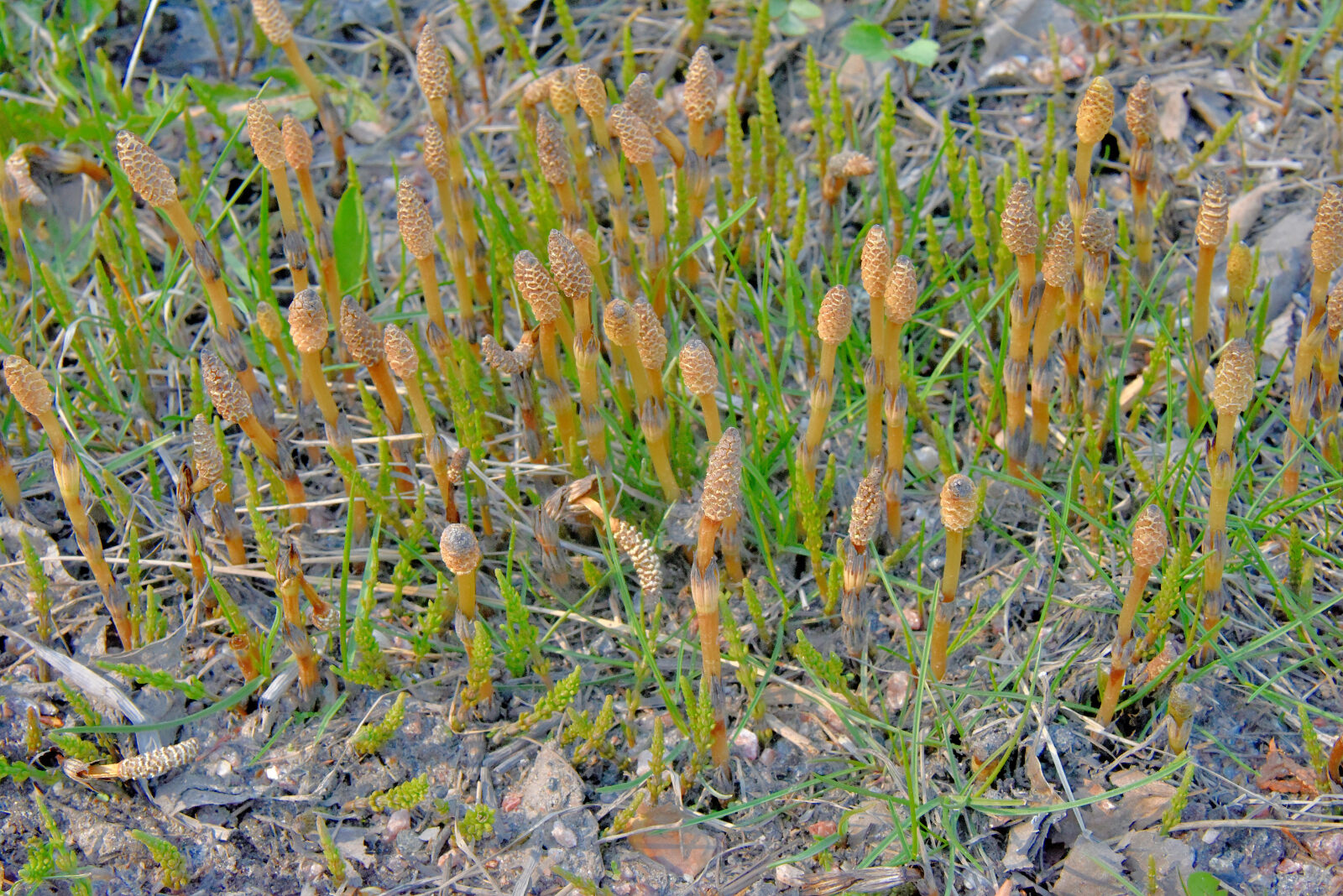 Valokuvaaja: Reijo Juurinen