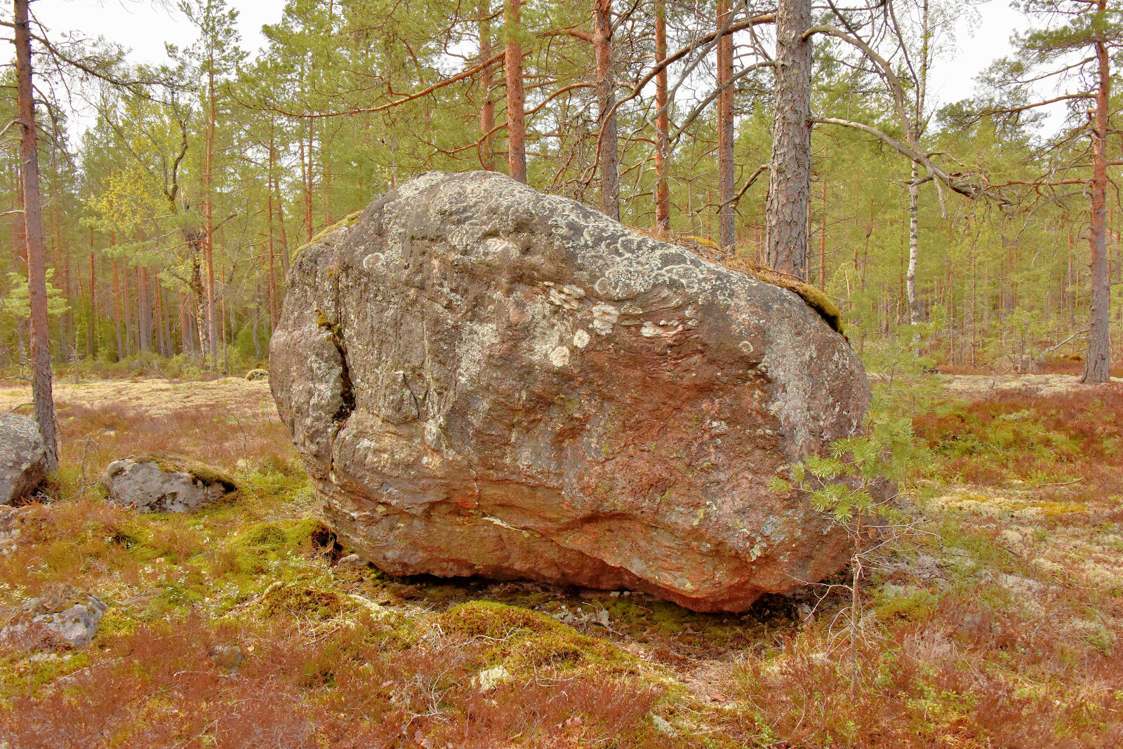 Valokuvaaja: Reijo Juurinen Valokuvaaja: Reijo Juurinen