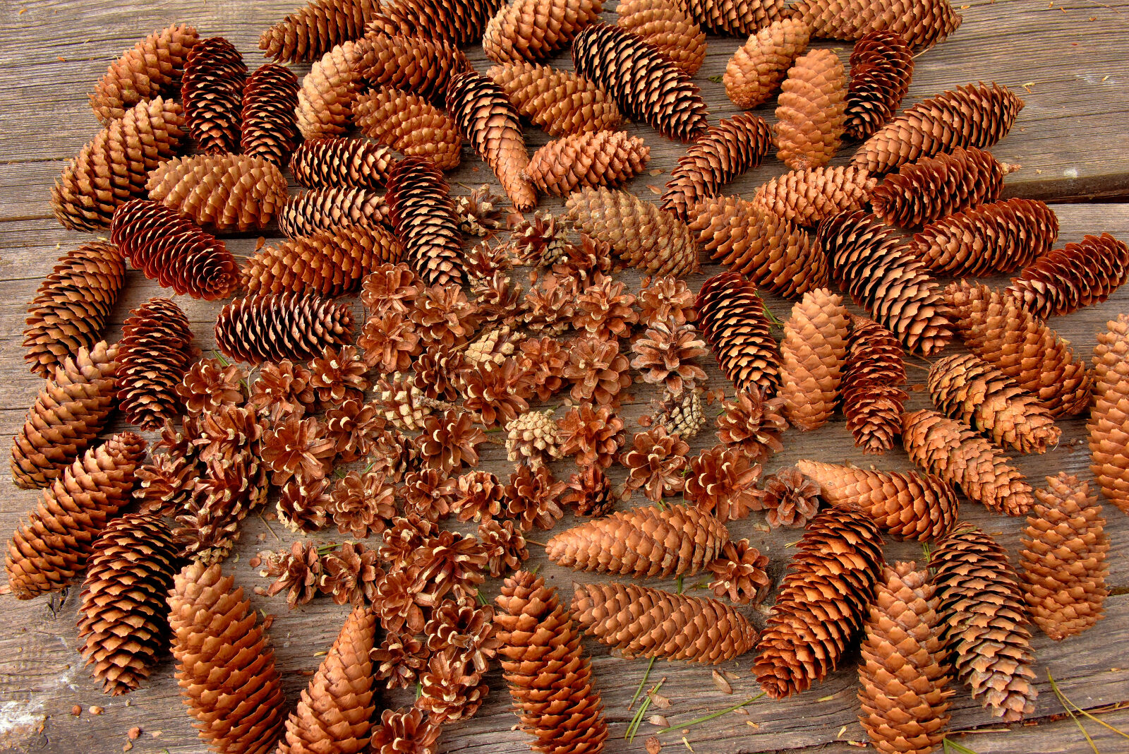 Valokuvaaja: Reijo Juurinen