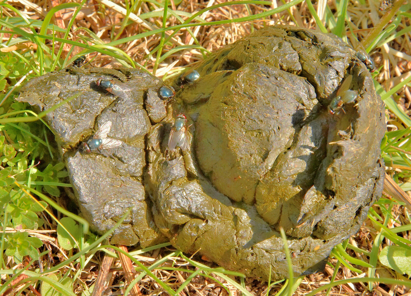 Valokuvaaja: Reijo Juurinen