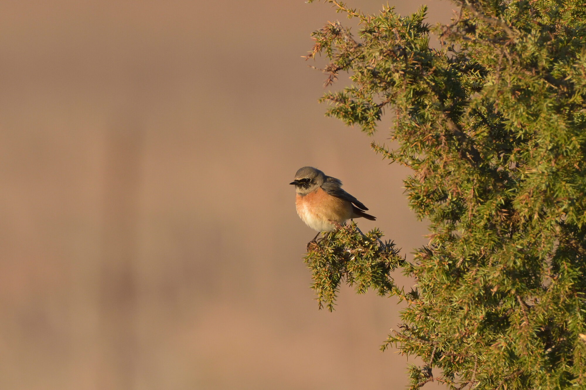 Valokuvaaja: Asko Heikkinen