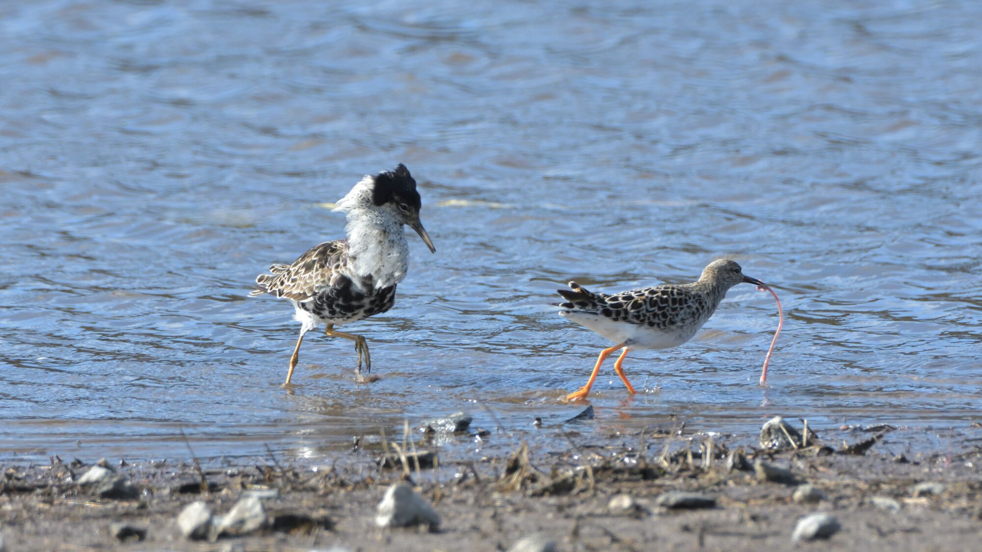 Valokuvaaja: Asko Heikkinen Valokuvaaja: Asko Heikkinen