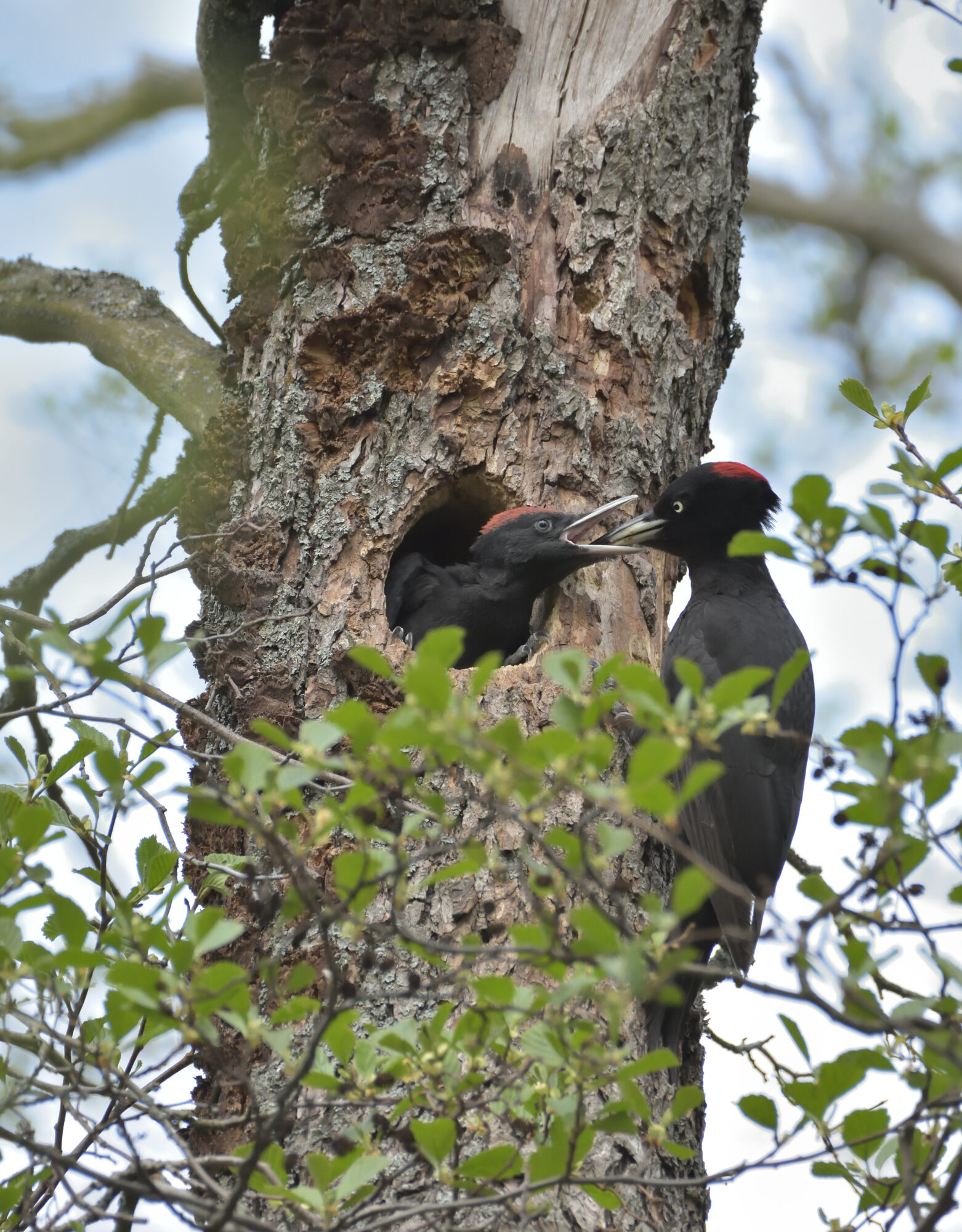Valokuvaaja: Asko Heikkinen