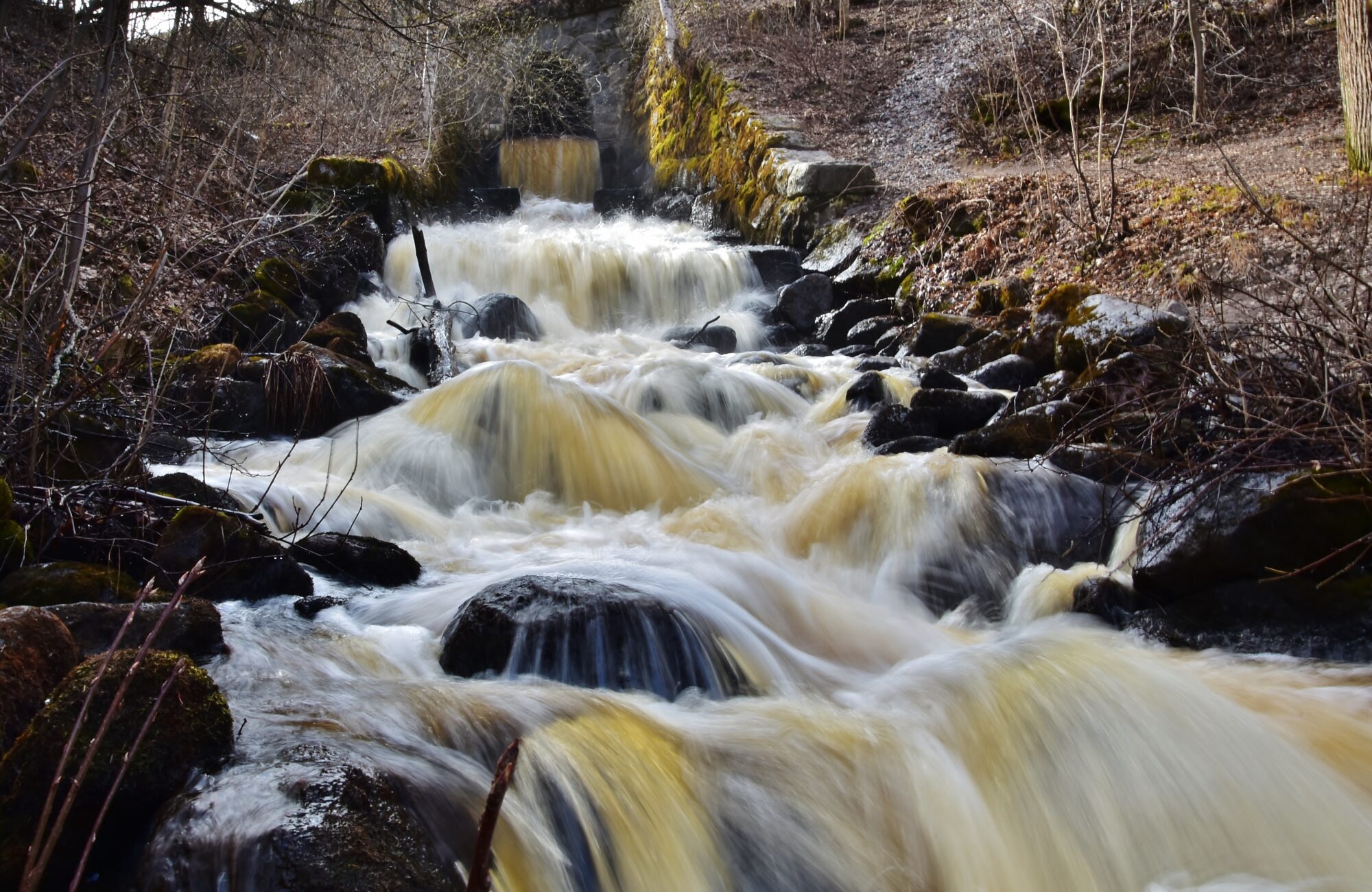 Valokuvaaja: Markku Pelkonen