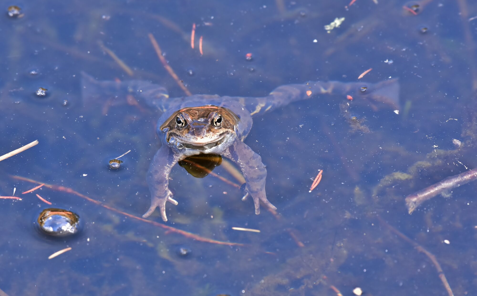 Valokuvaaja: Markku Pelkonen