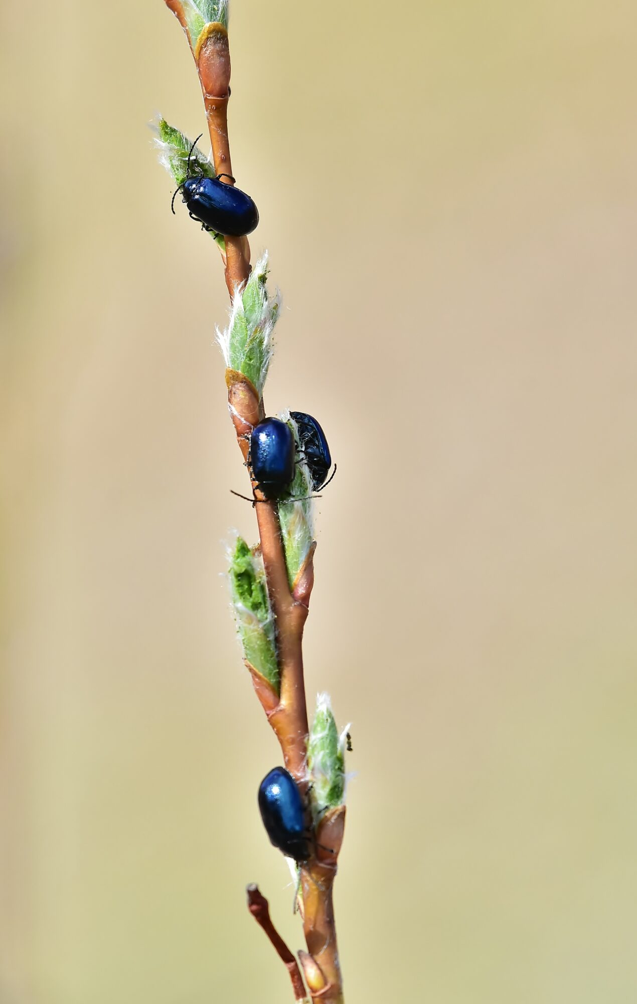 Valokuvaaja: Markku Pelkonen