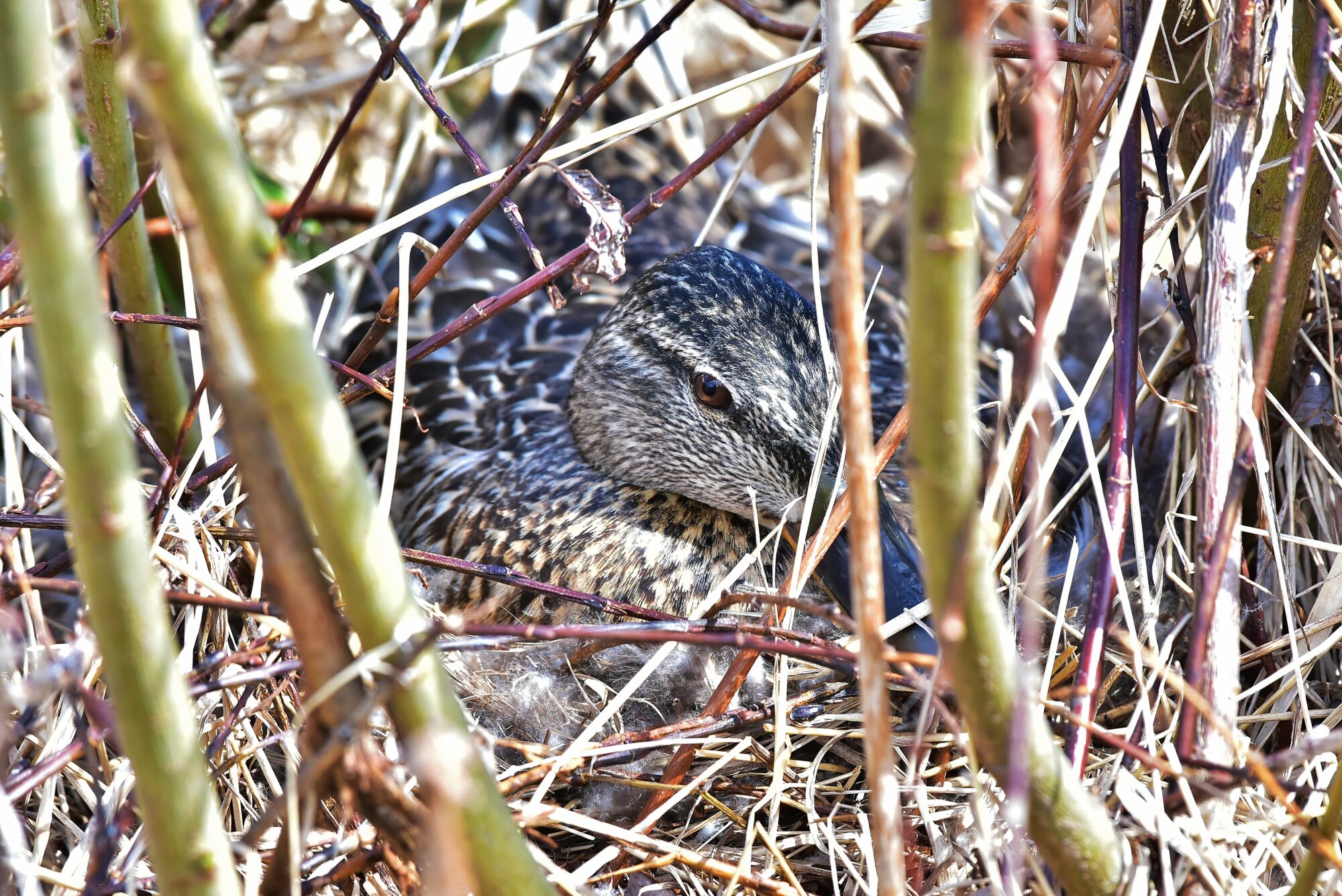 Valokuvaaja: Markku Pelkonen
