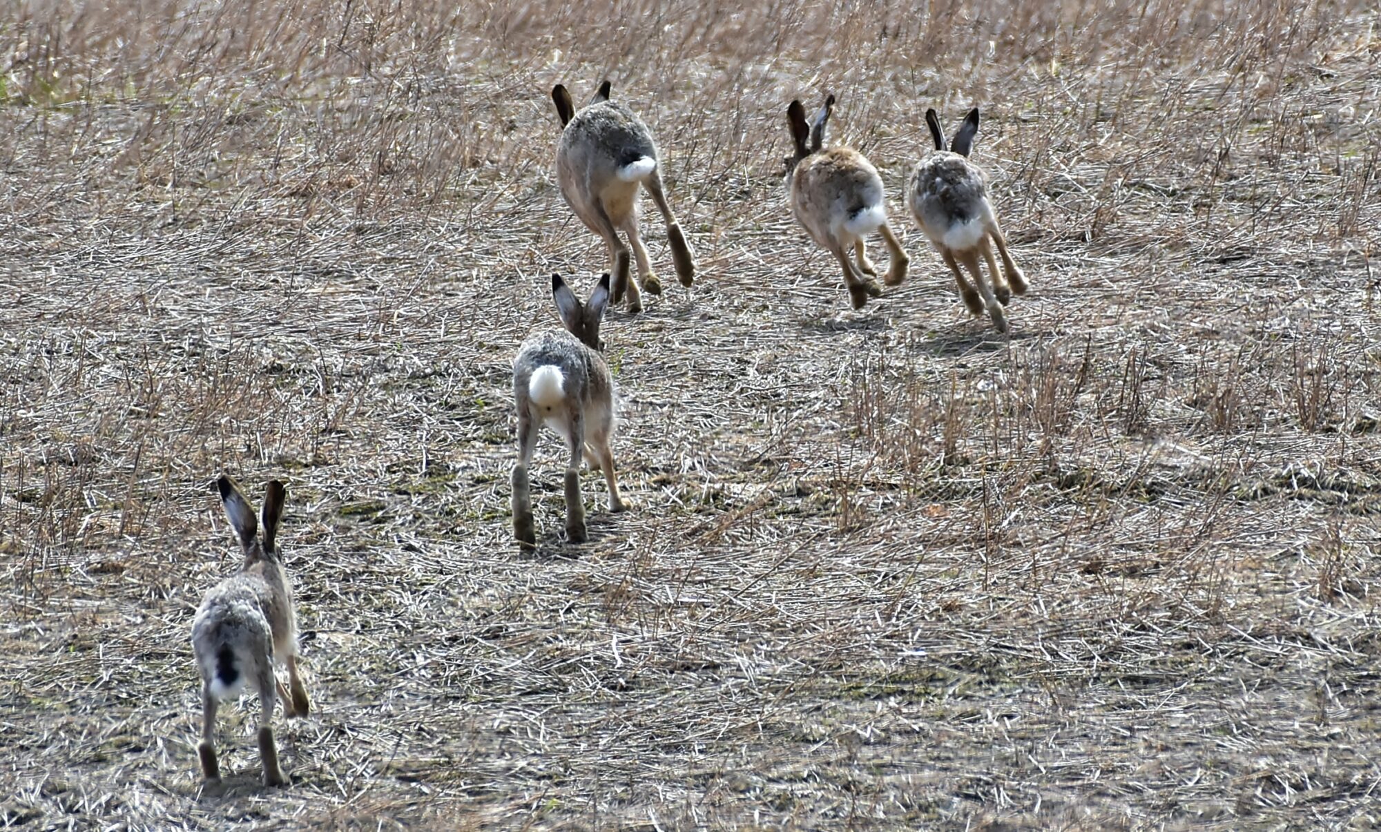 Valokuvaaja: Markku Pelkonen