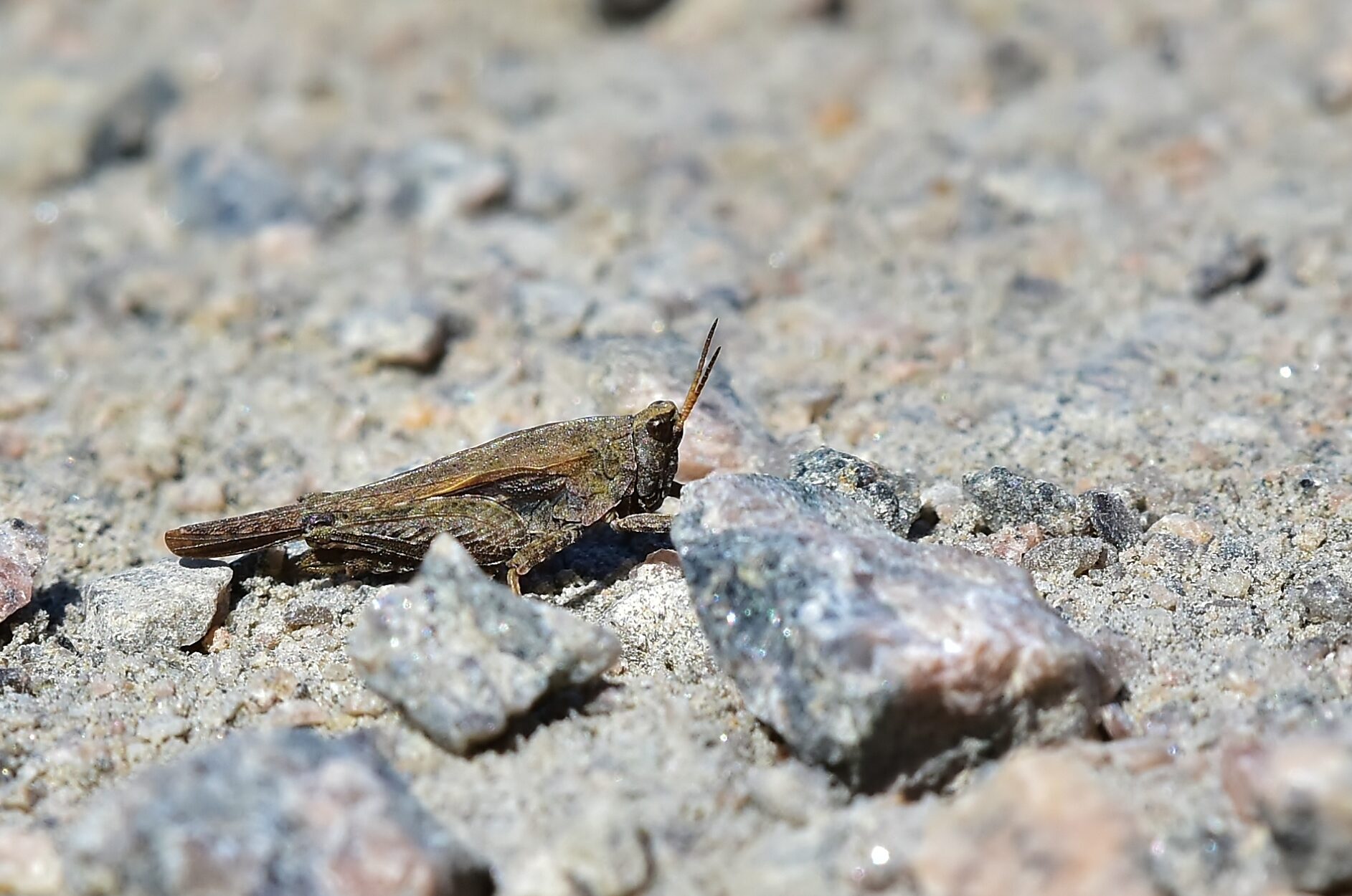 Valokuvaaja: Markku Pelkonen