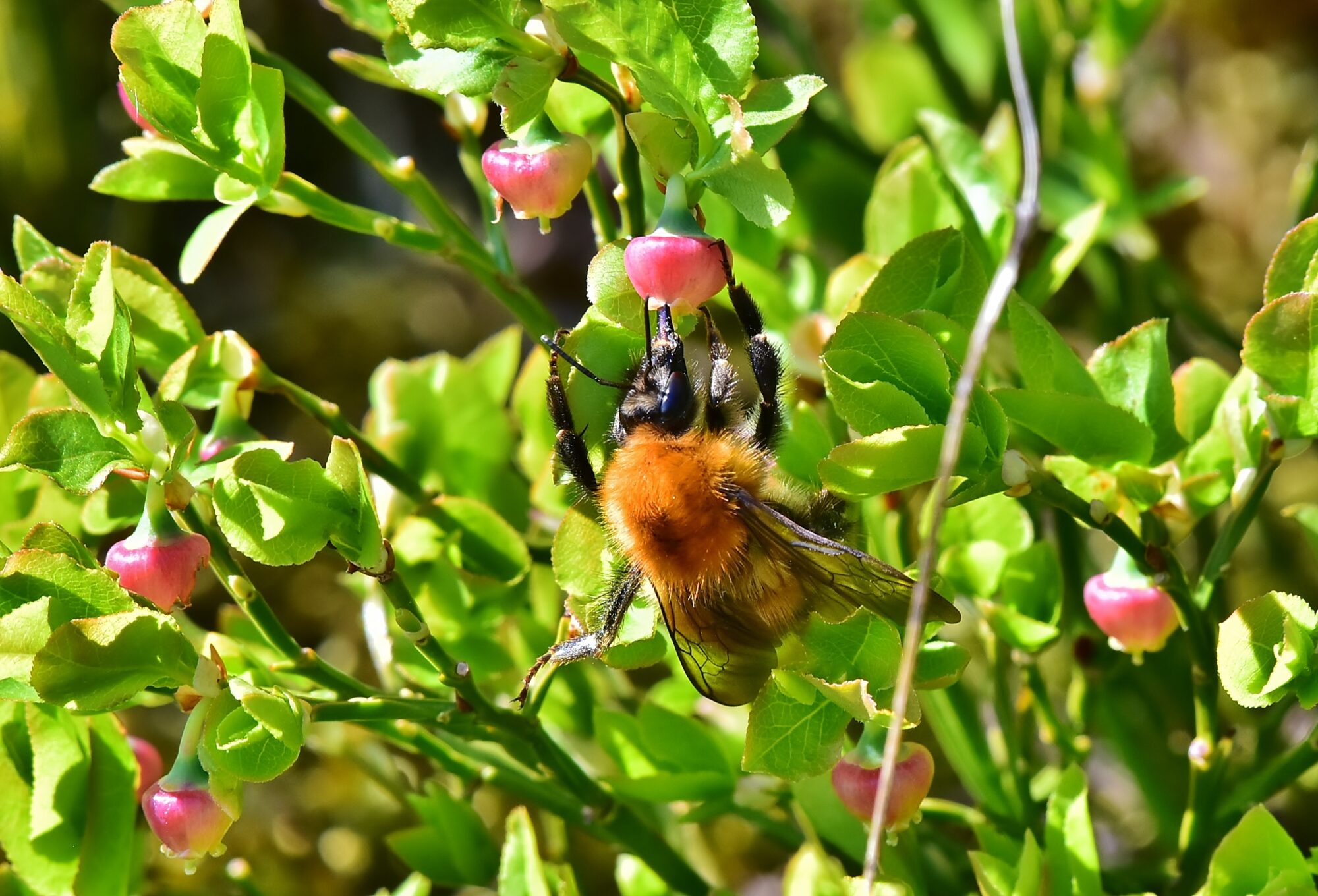 Valokuvaaja: Markku Pelkonen