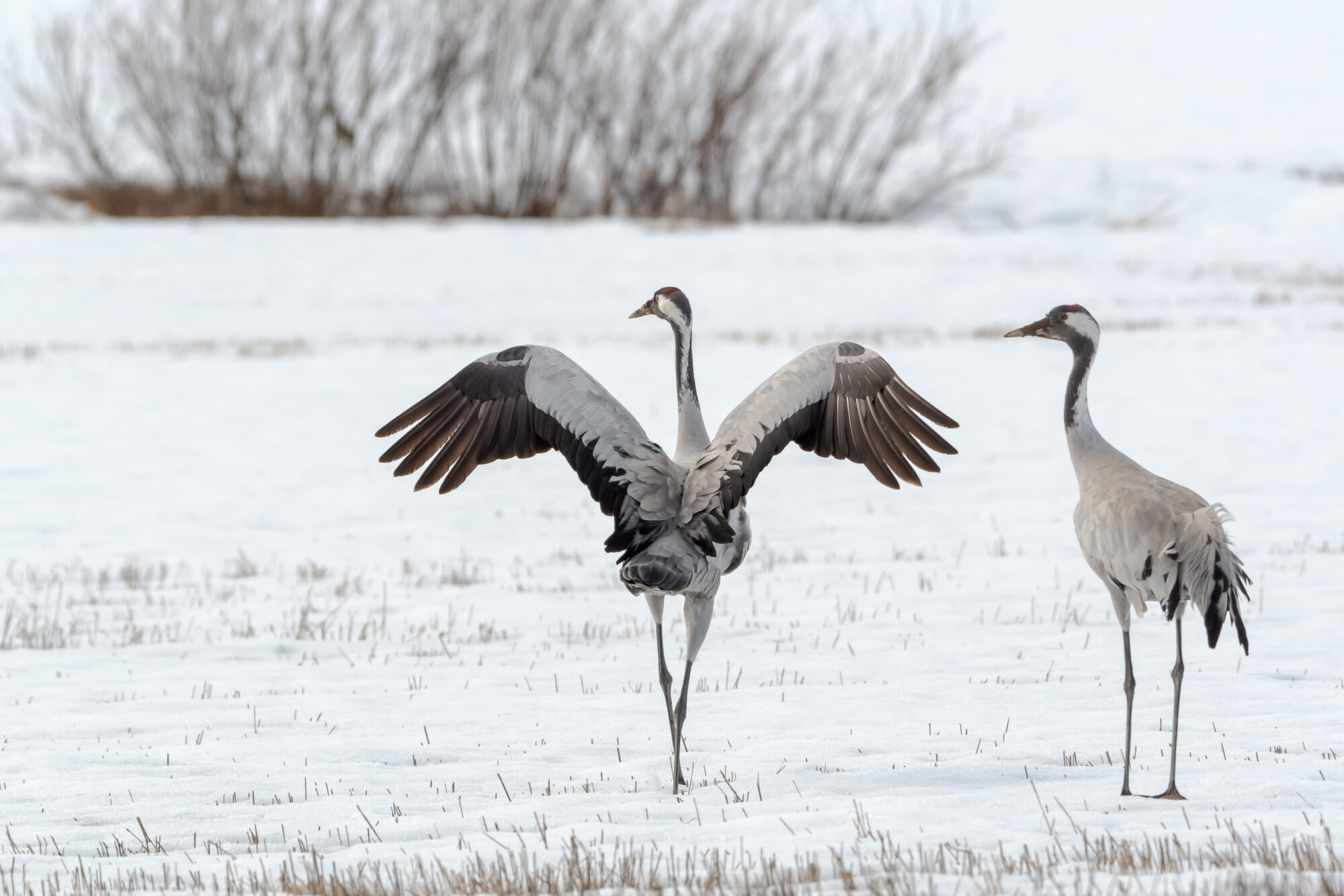 Valokuvaaja: Leena Rissanen