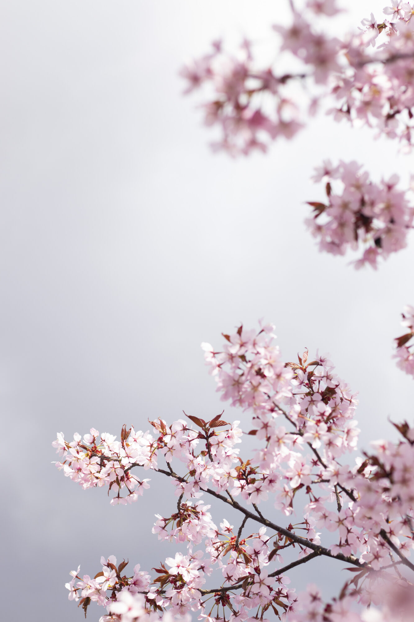 Valokuvaaja: Ida Leino