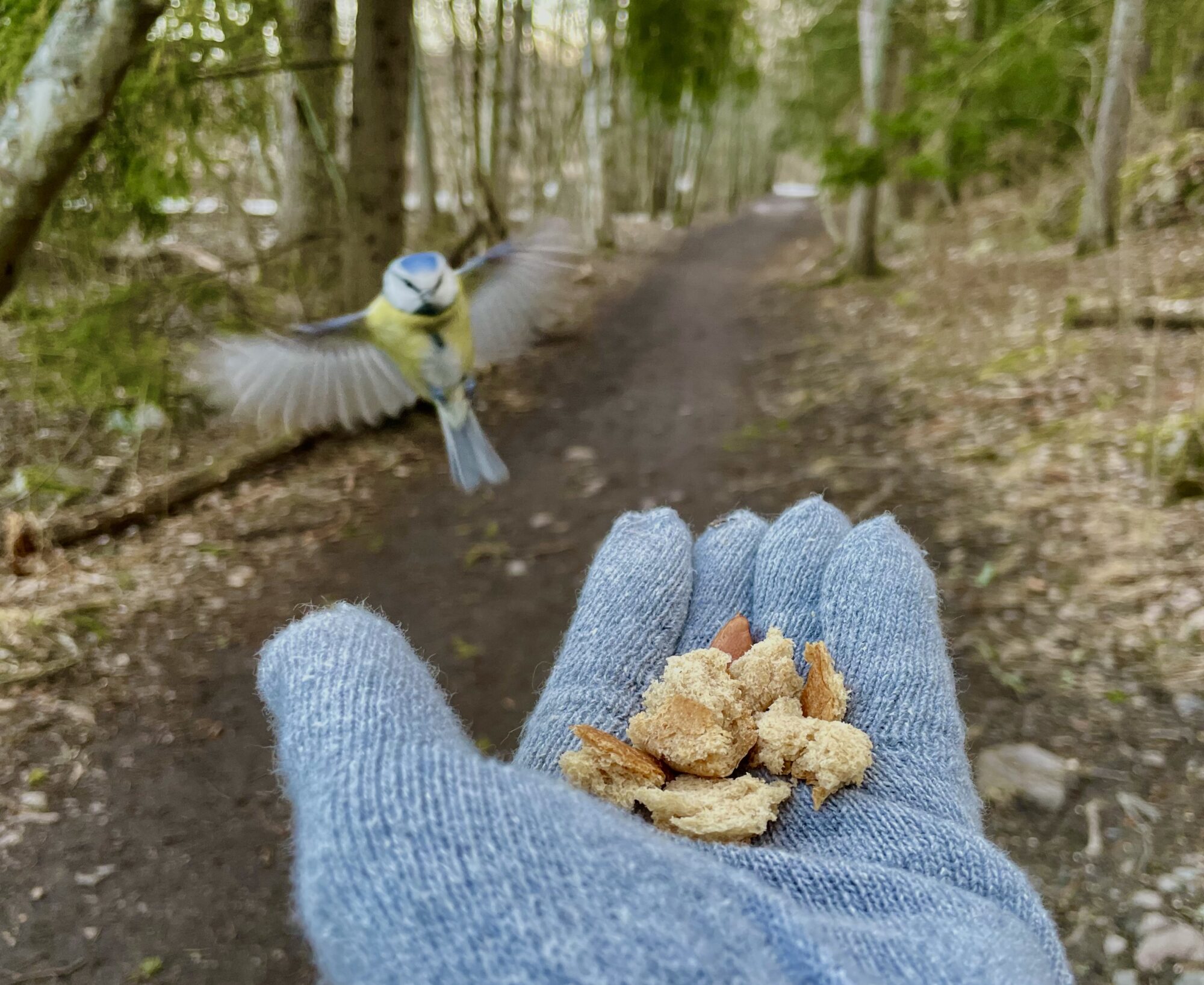 Valokuvaaja: Juhani Peltonen