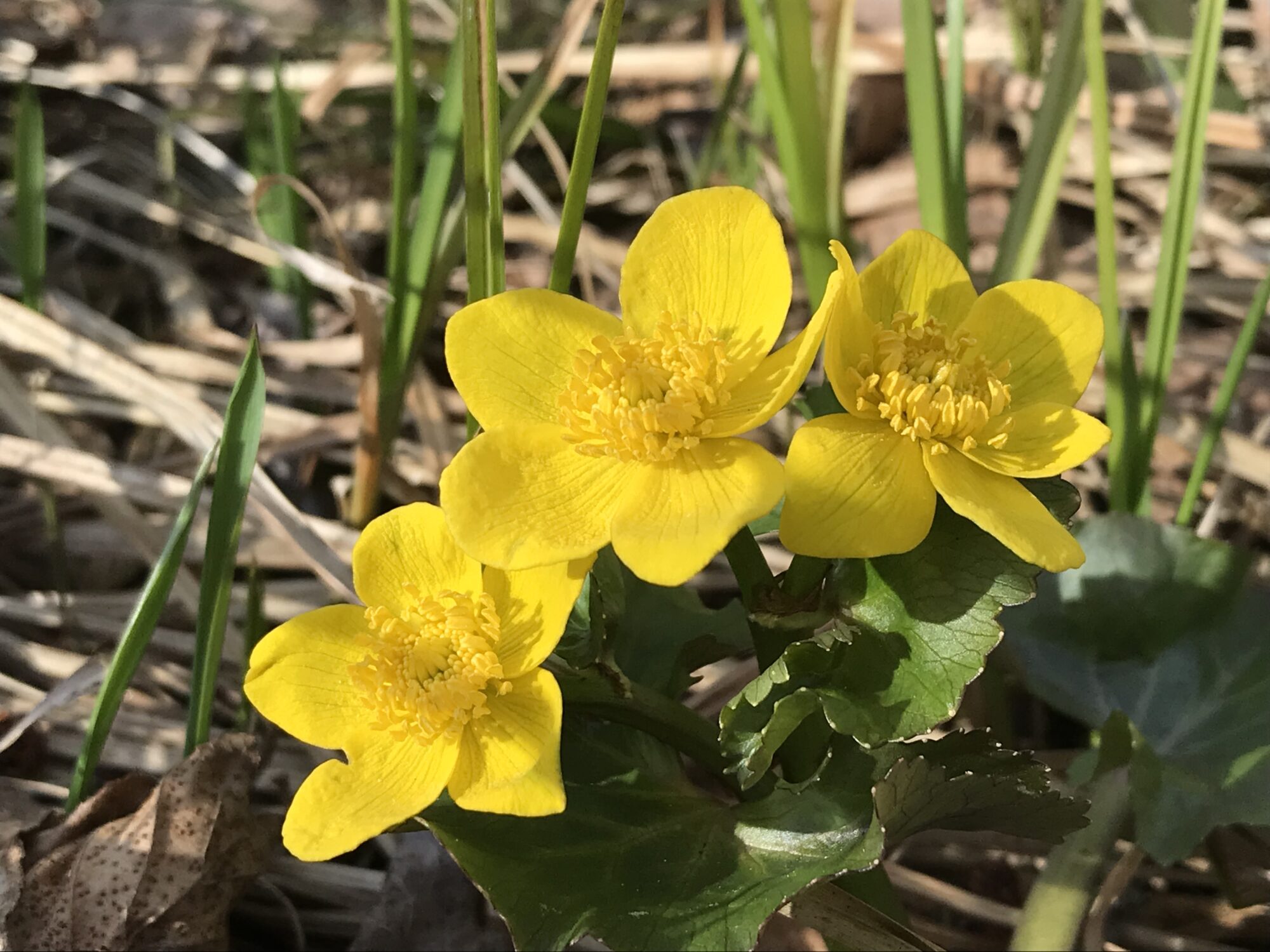 Valokuvaaja: Liisa Niiva-Korpela Valokuvaaja: Liisa Niiva-Korpela