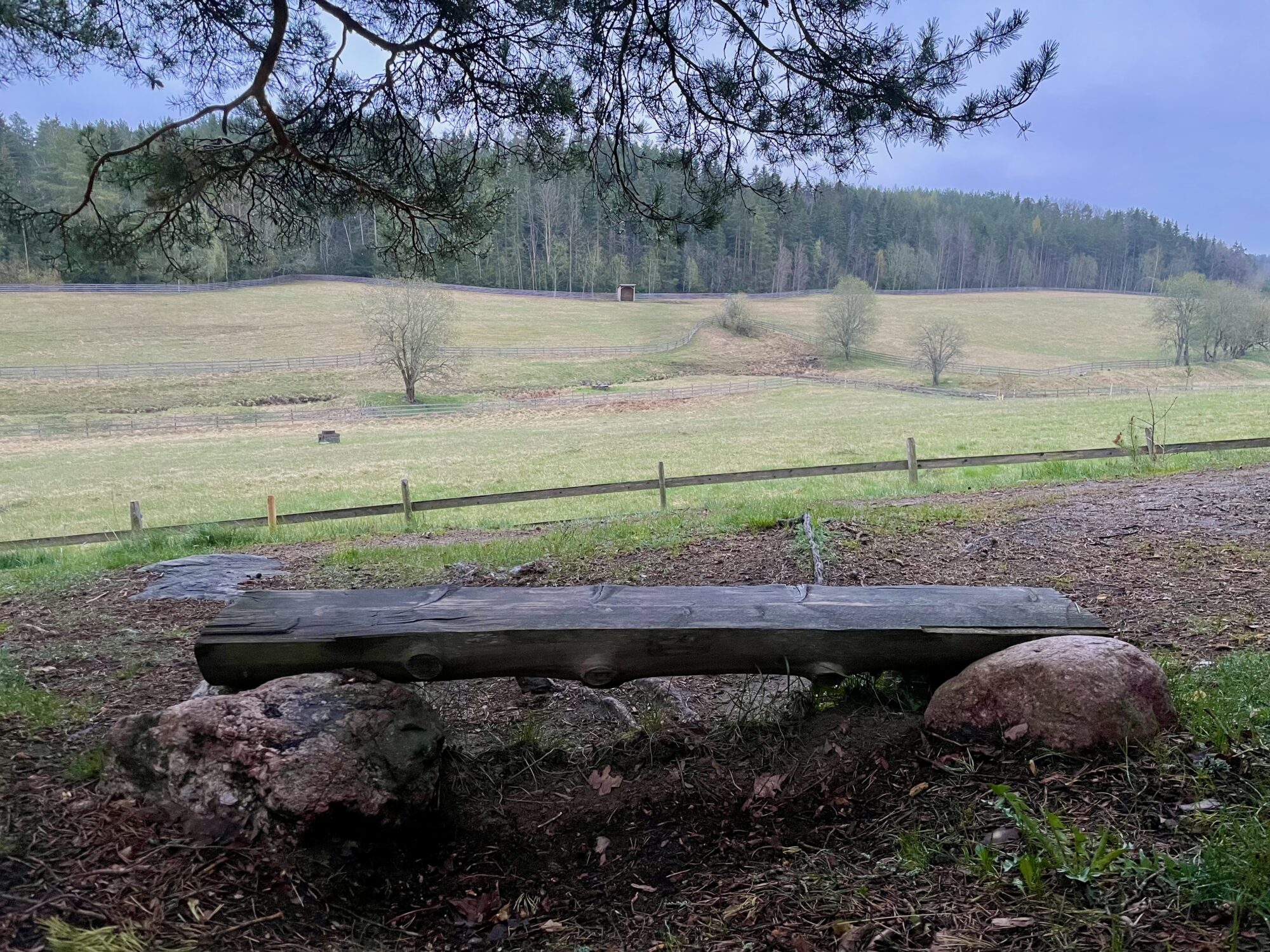 Valokuvaaja: Juhani Peltonen