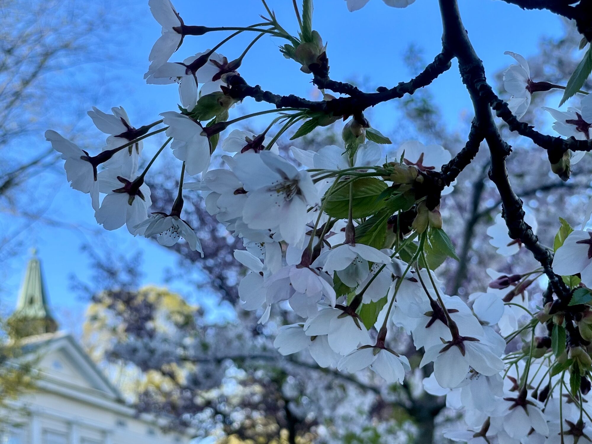 Valokuvaaja: Juhani Peltonen