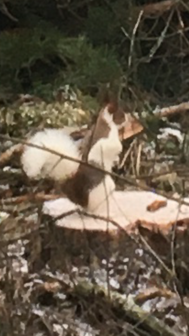 Valokuvaaja: Marja-Leena Viik