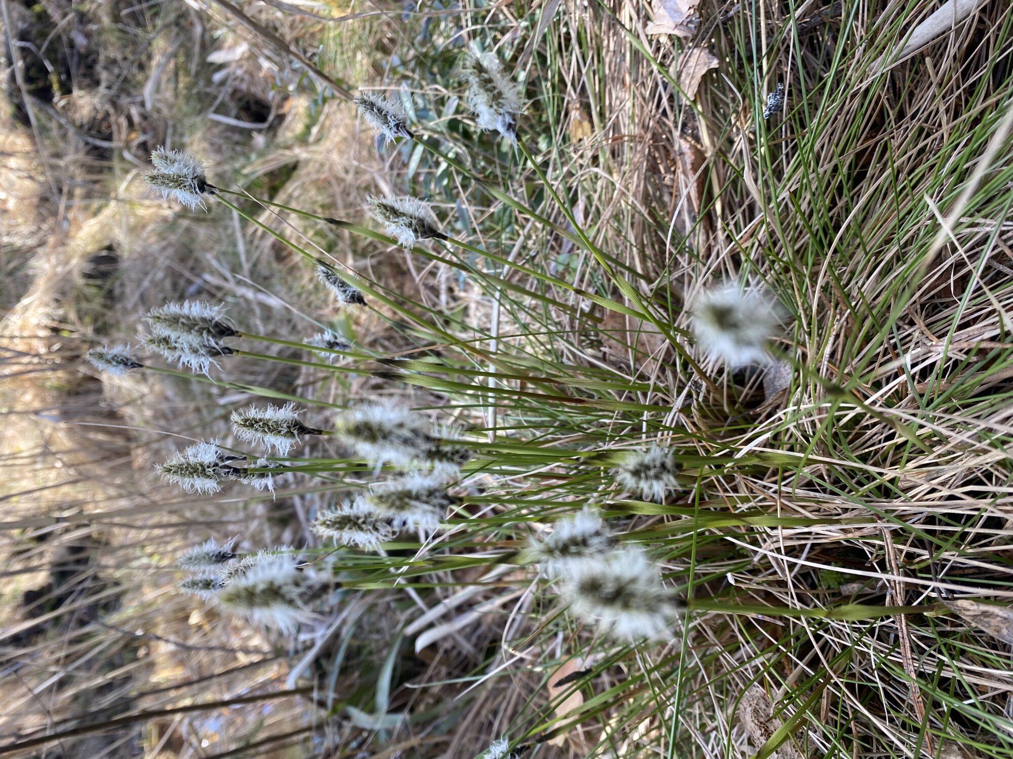 Valokuvaaja: Markku Ranta-Eilola