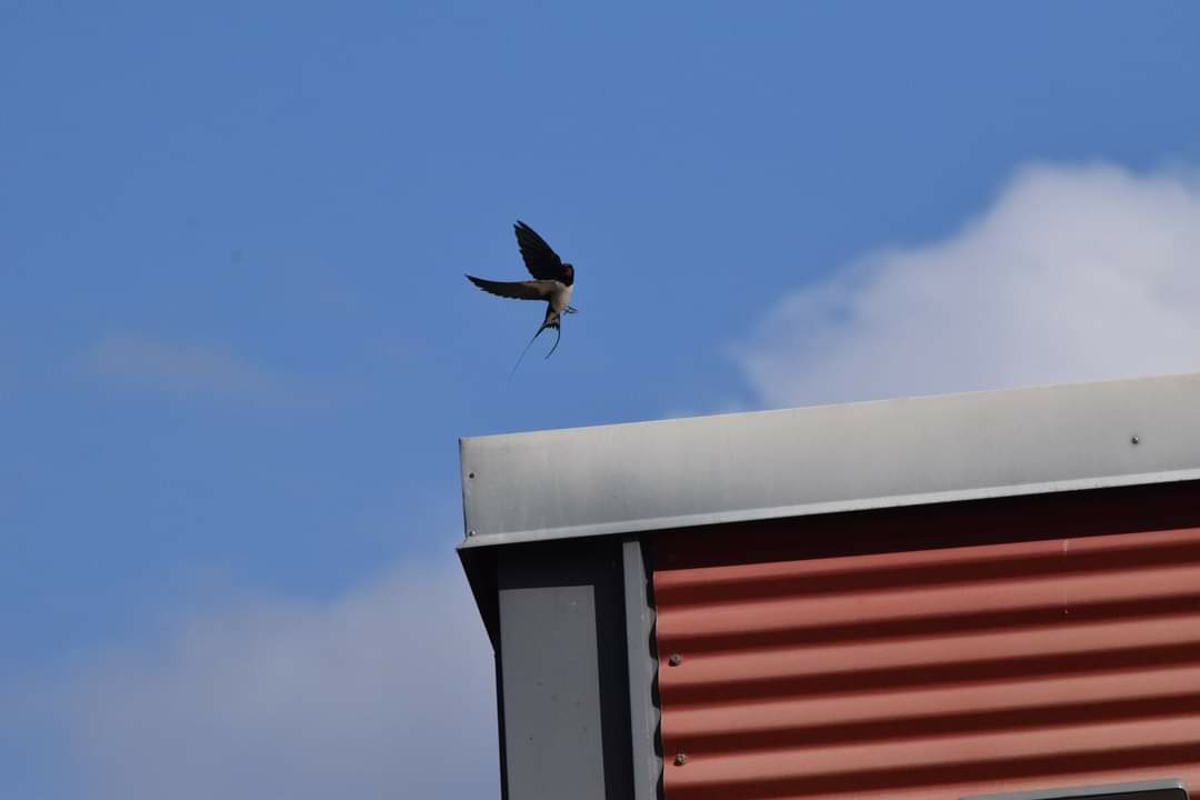 Valokuvaaja: Riitta Marjamäki