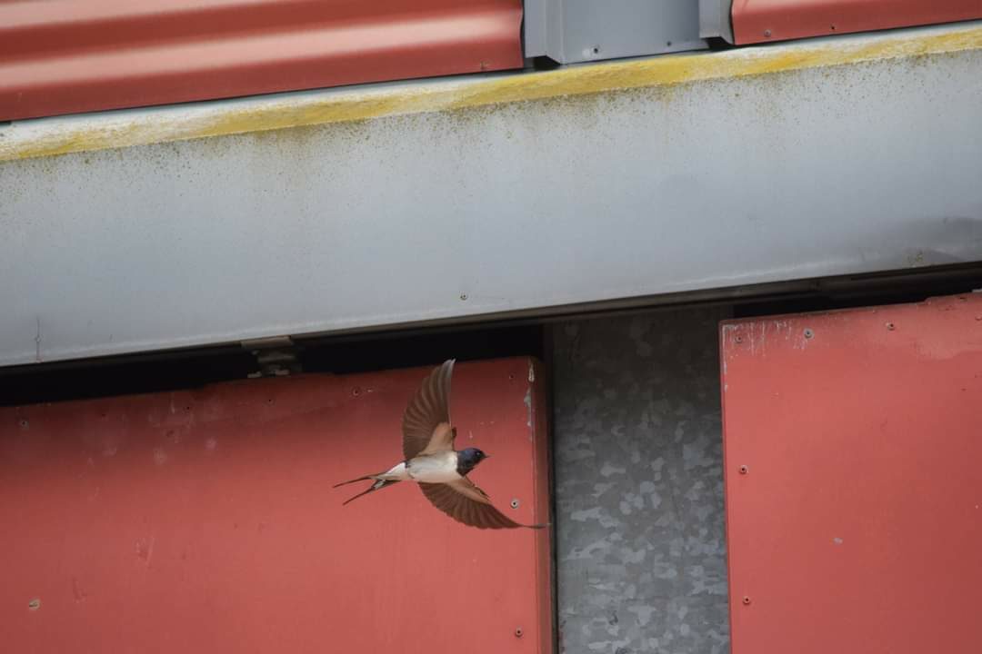 Valokuvaaja: Riitta Marjamäki