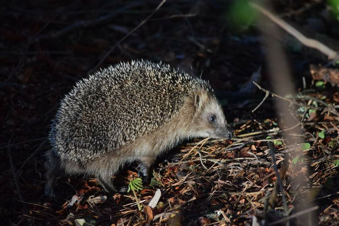 Valokuvaaja: Riitta Marjamäki