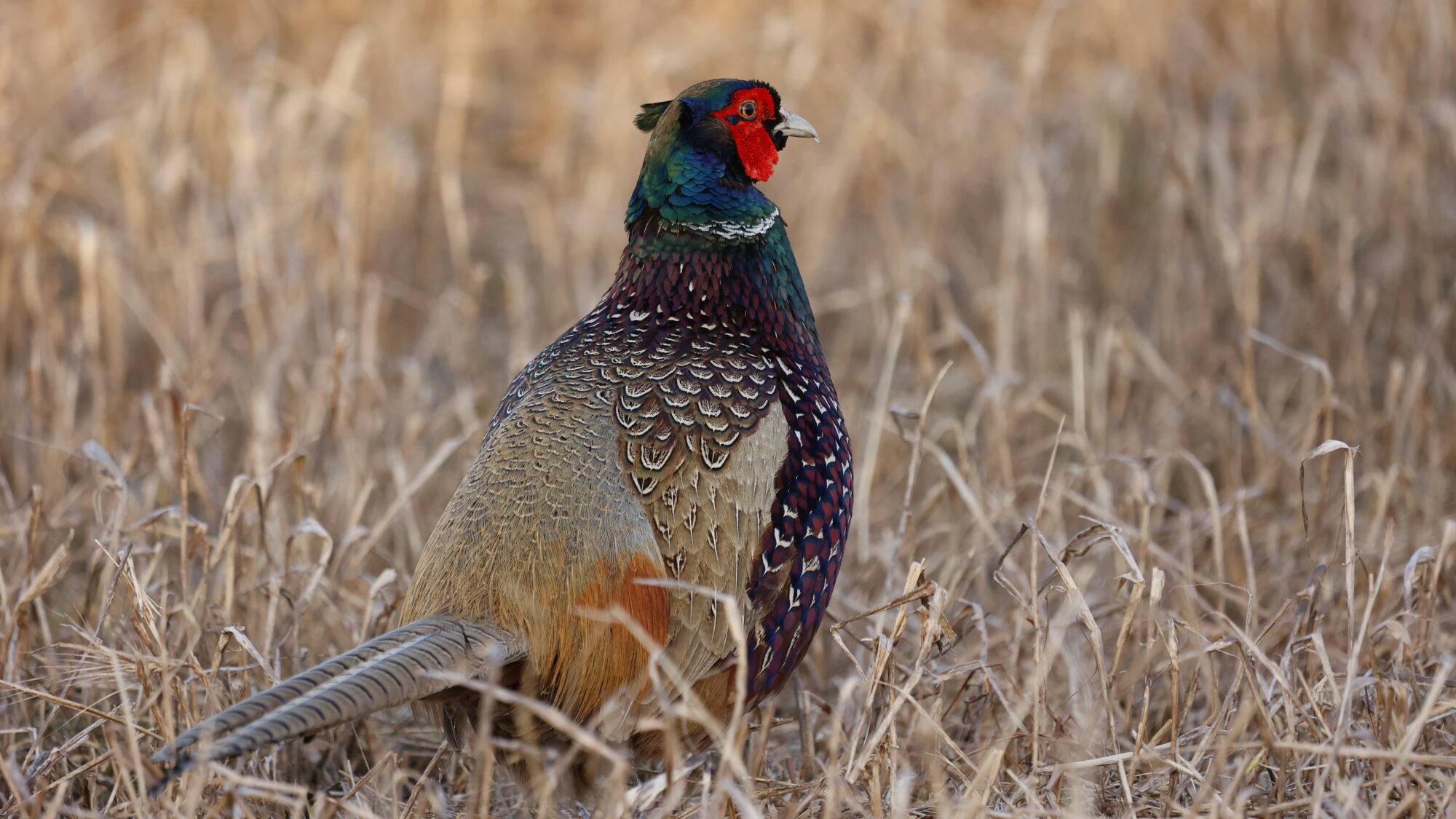 Valokuvaaja: Tommi Kujala