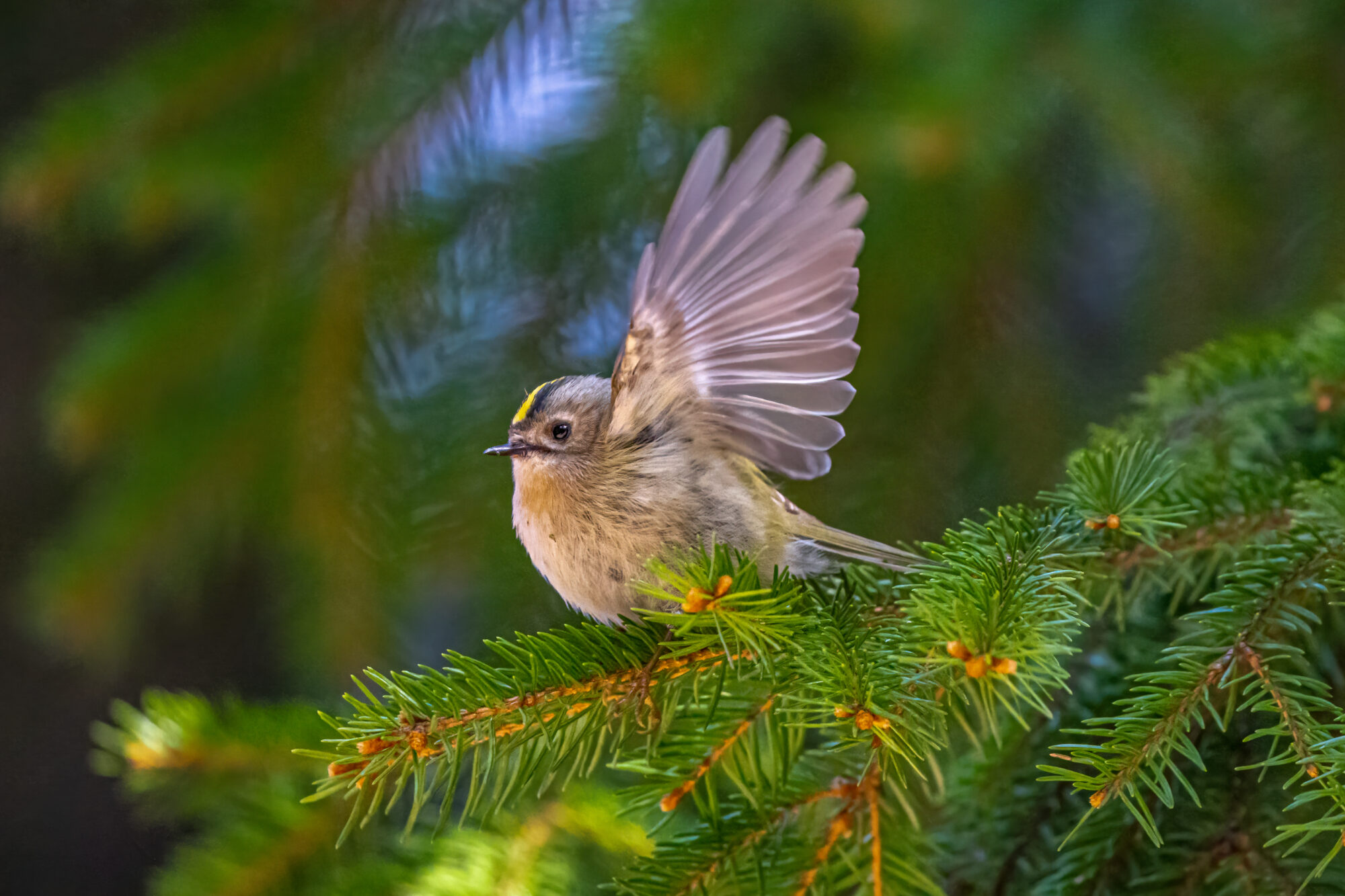 Valokuvaaja: Jukka Käyhkö