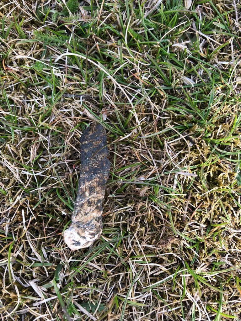 Valokuvaaja: Alvar Ilmonen