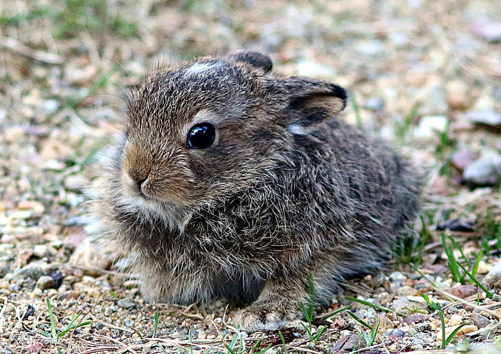 Valokuvaaja: Hannu Rasiranta